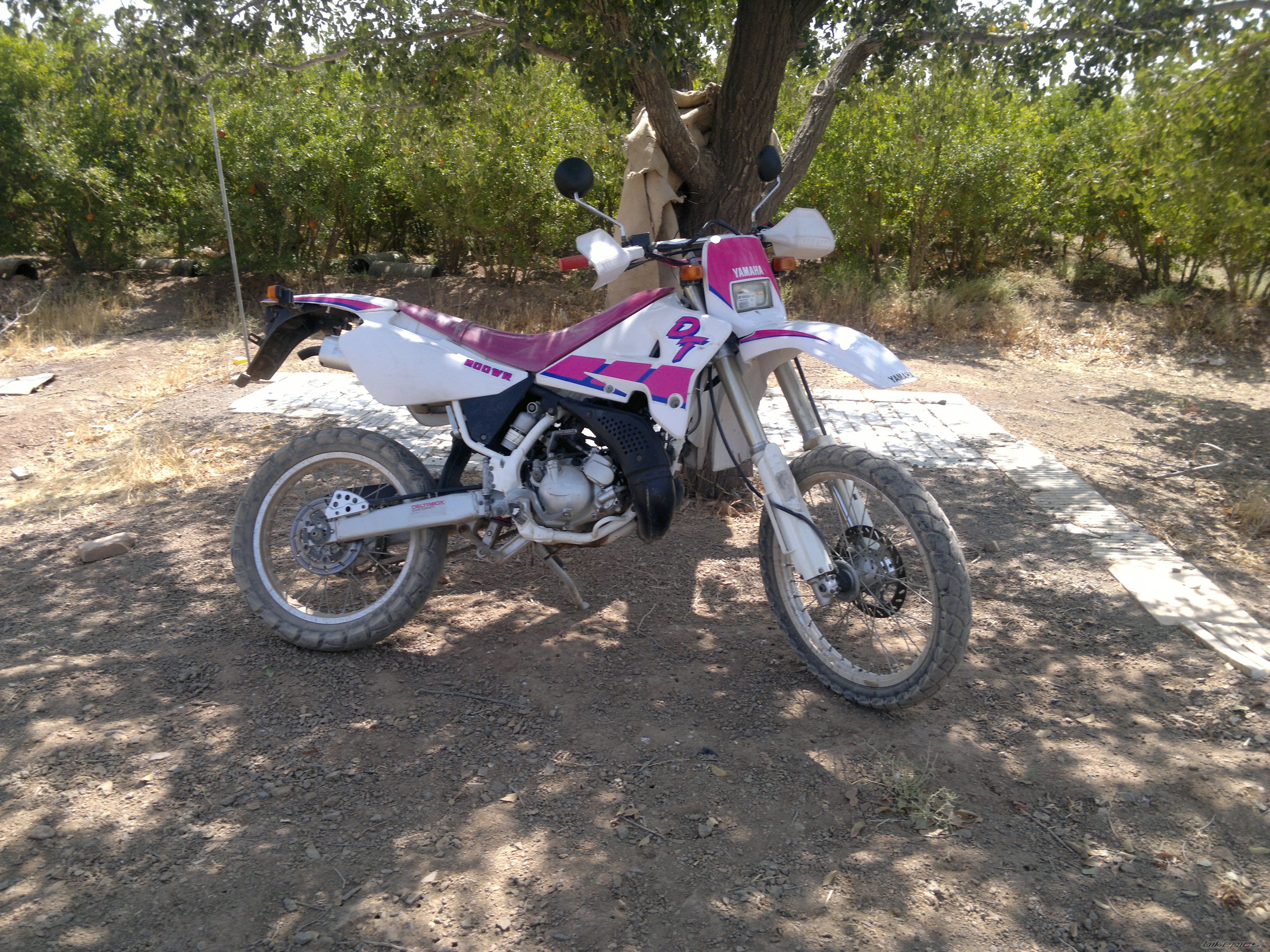 Photo 2596490
