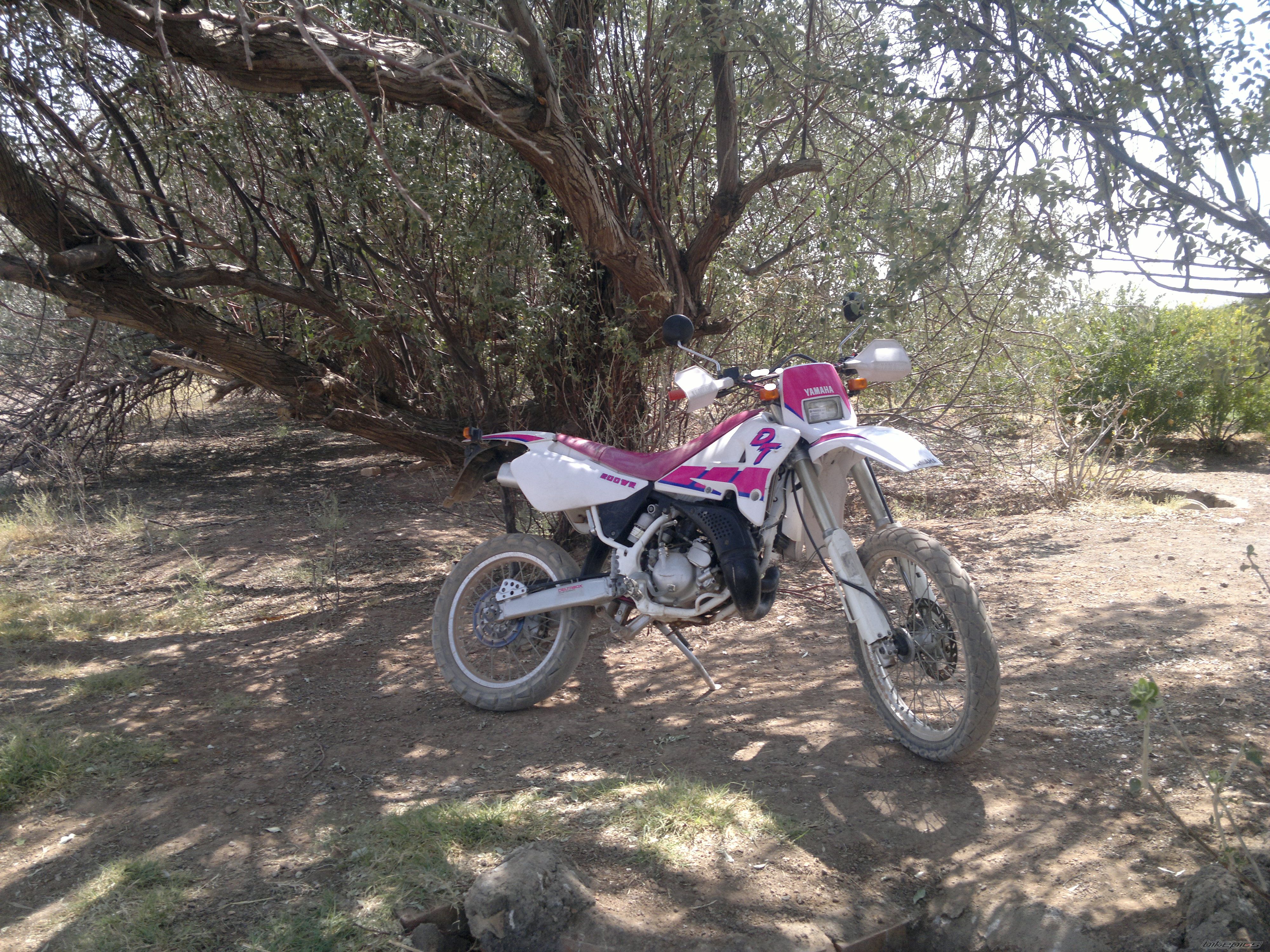 Photo 2596492