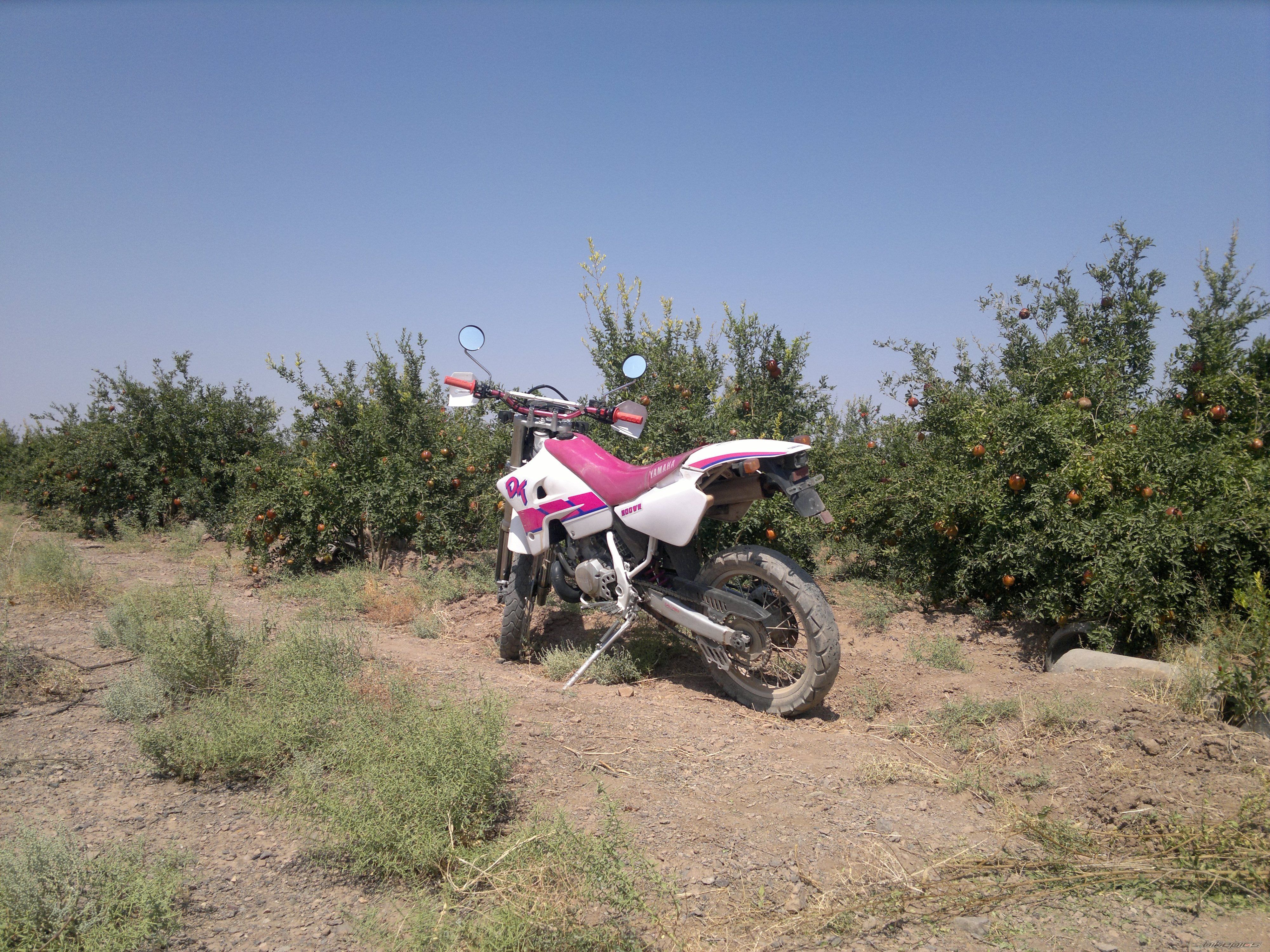 Photo 2596493