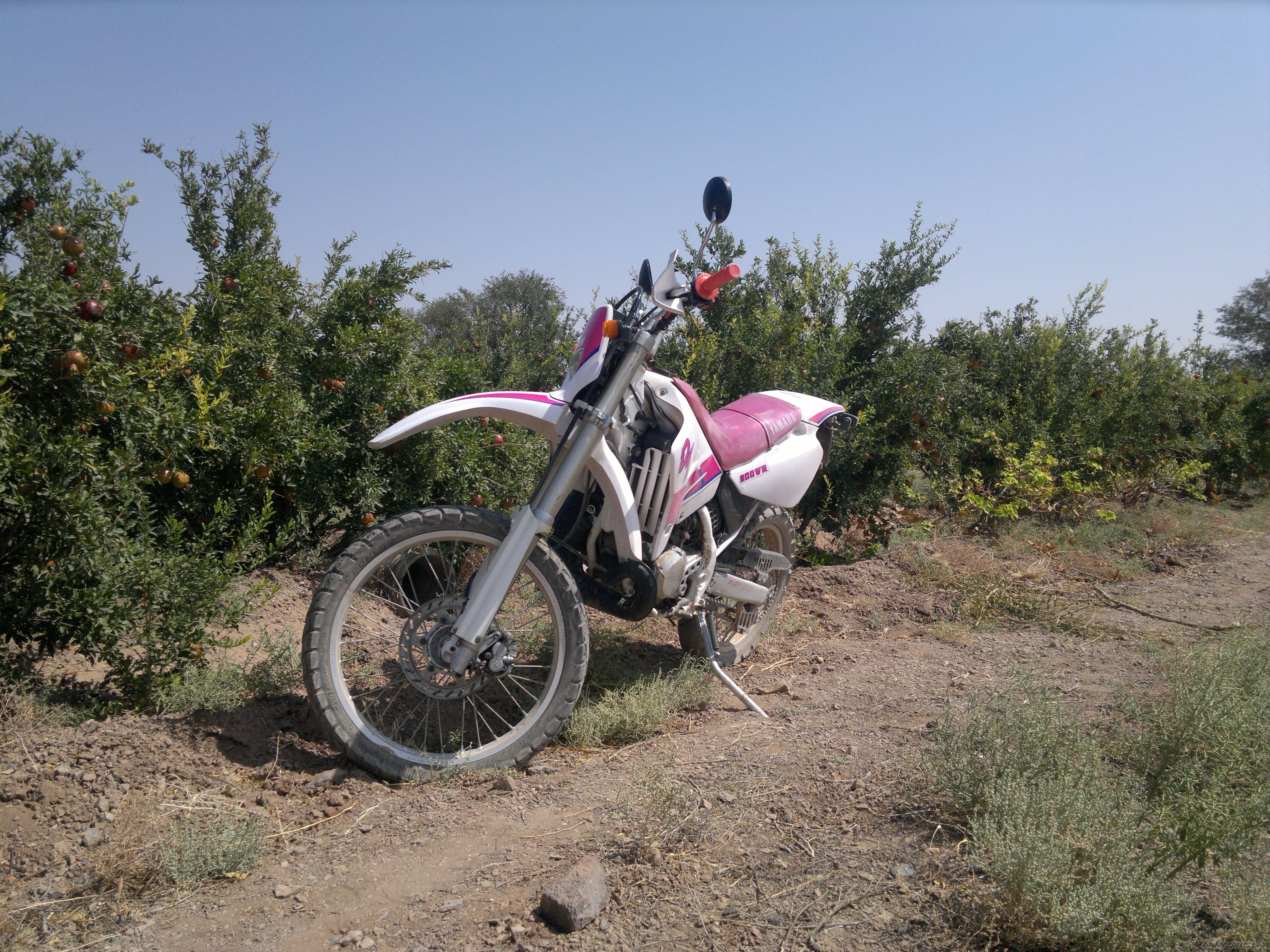 Photo 2596494
