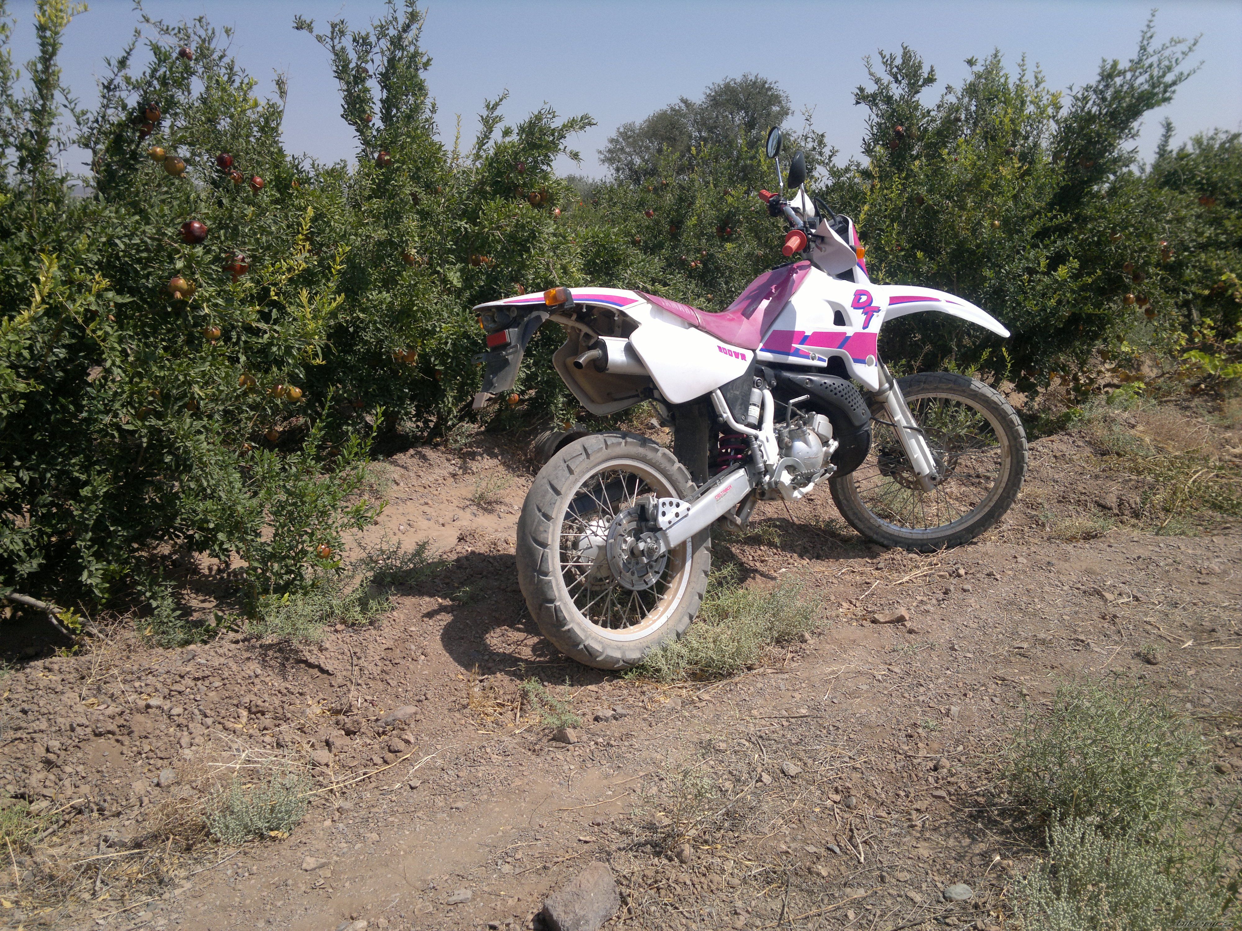 Photo 2596495