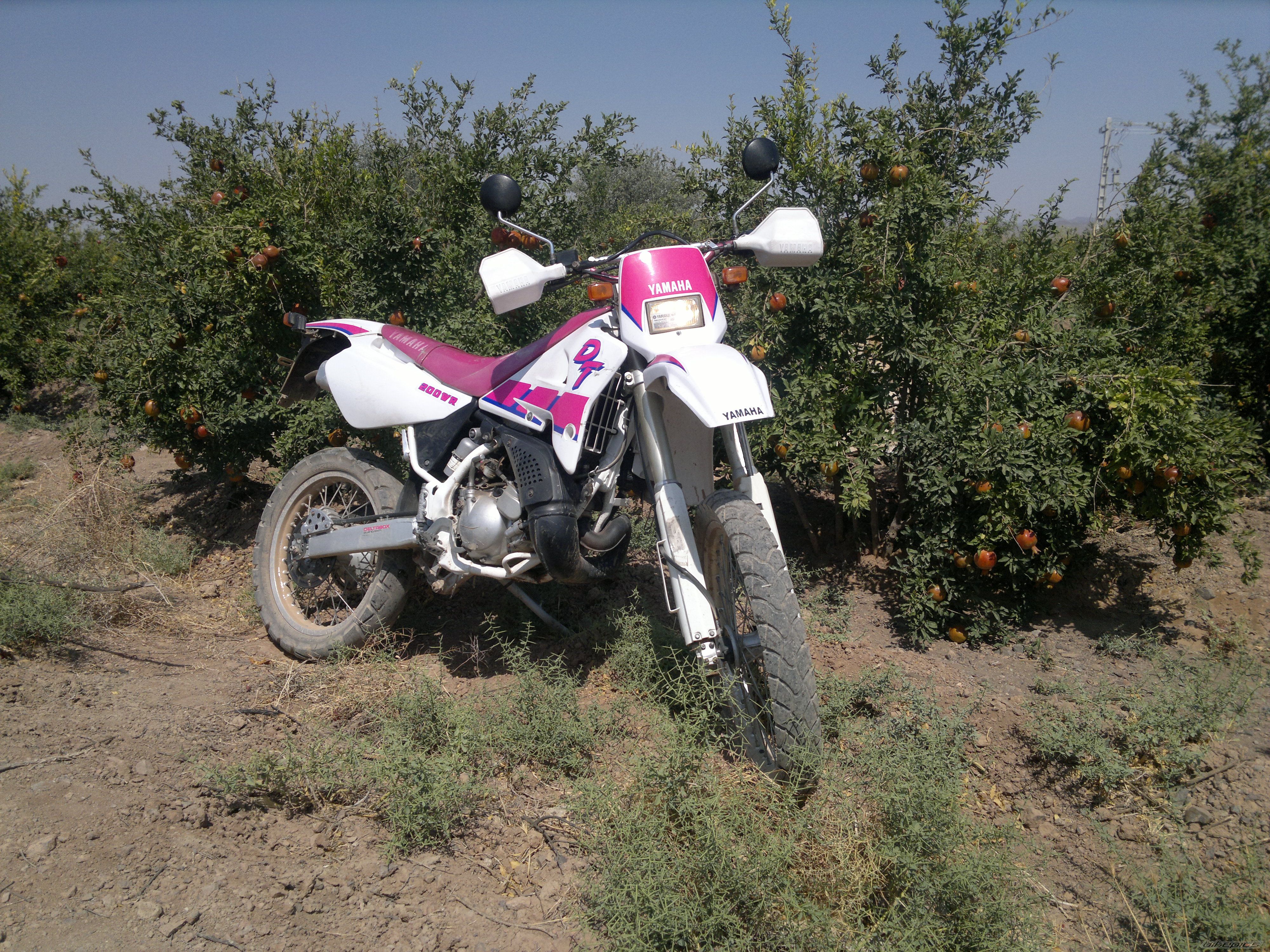 Photo 2596496