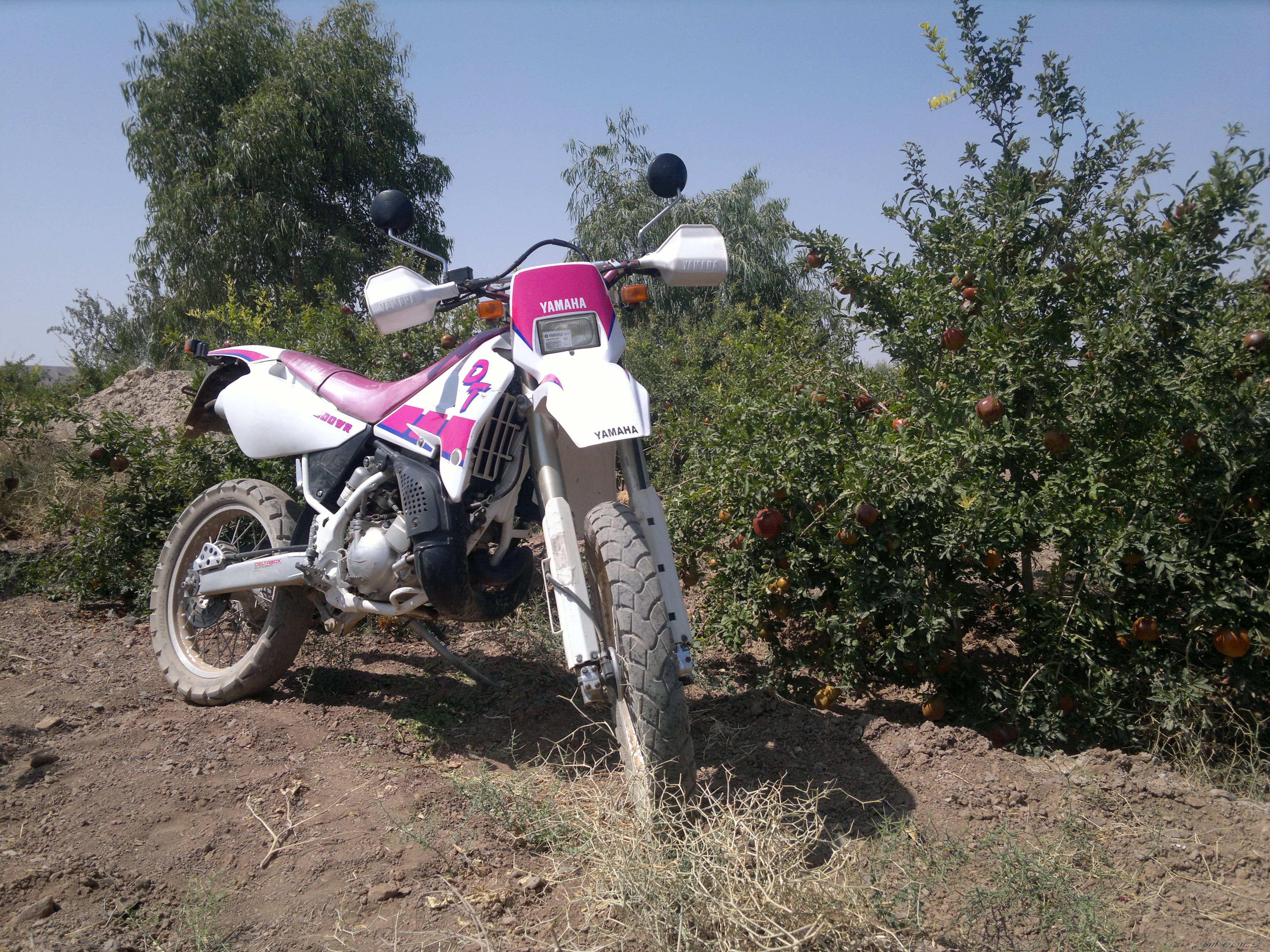 Photo 2596497