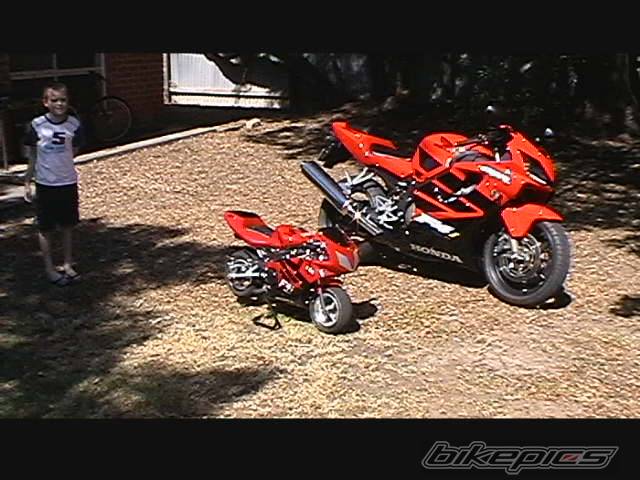 Photo 259650
