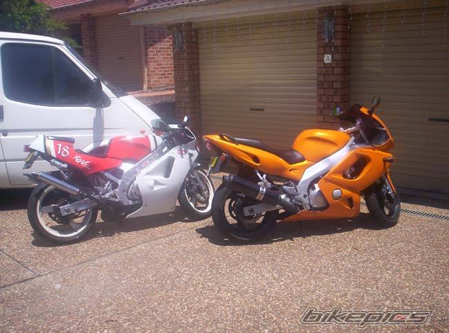 Photo 259659