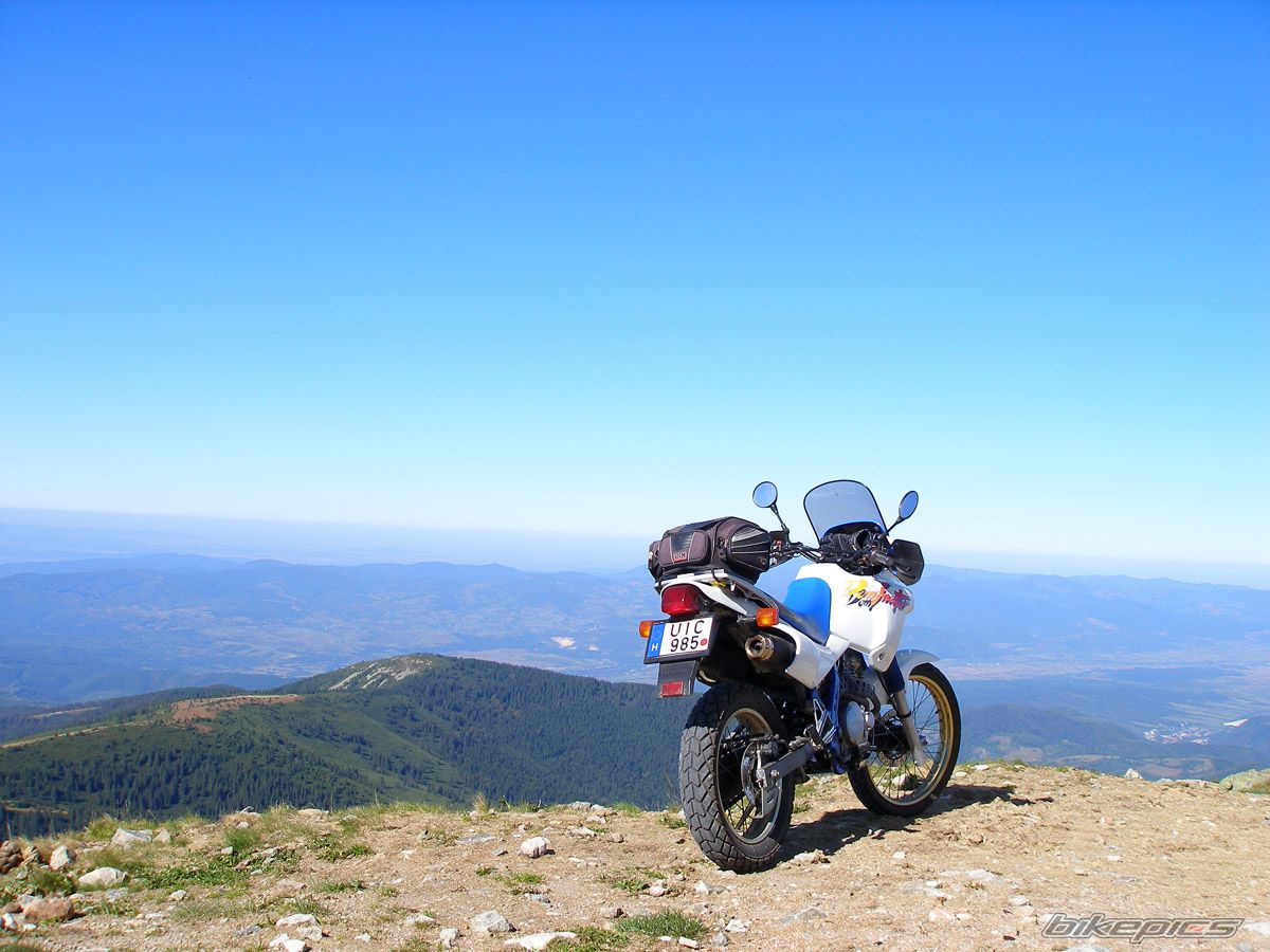 Photo 2596618