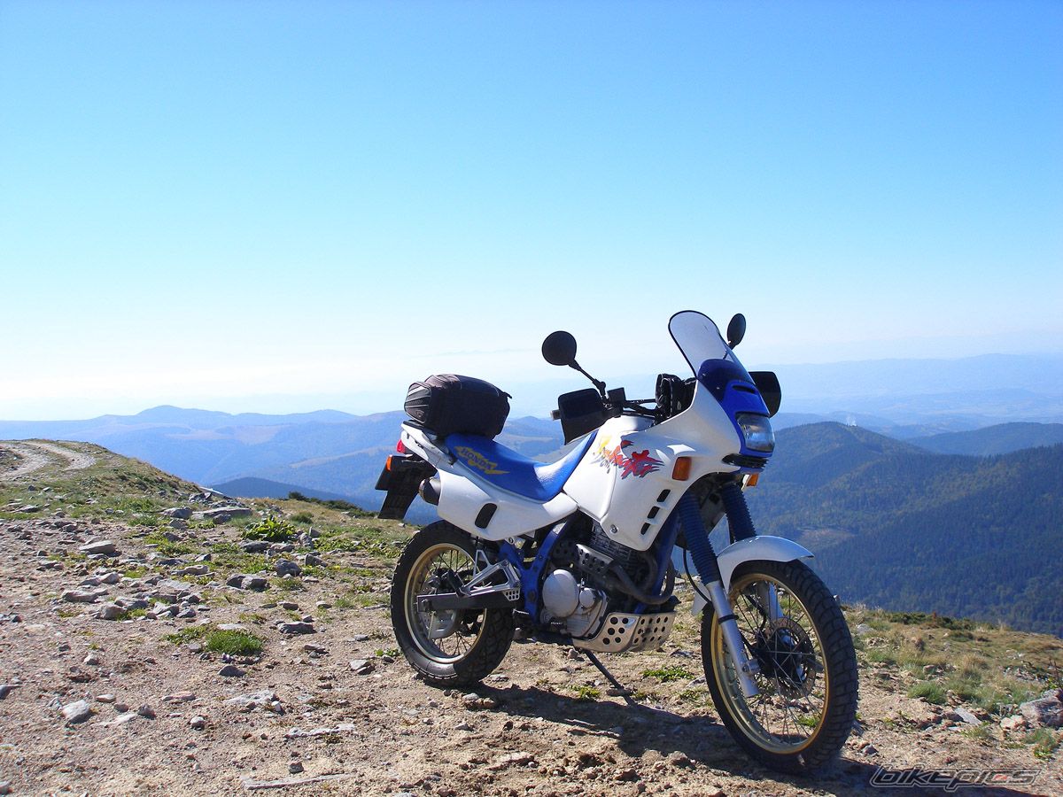 Photo 2596619