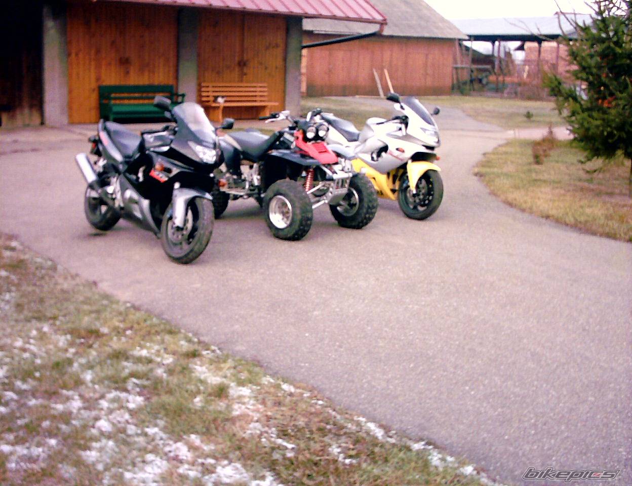Photo 259663