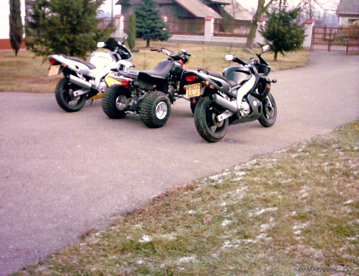 Photo 259664