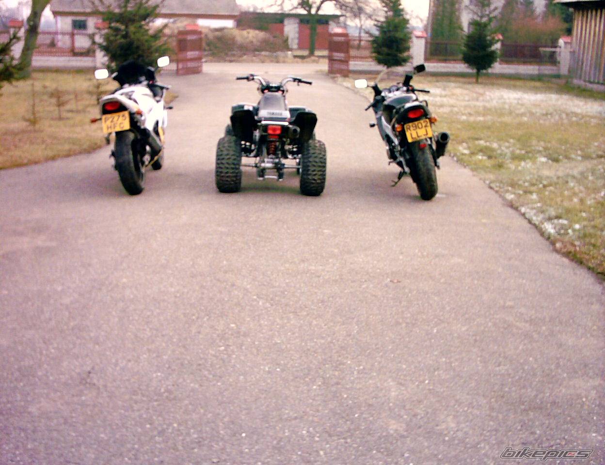 Photo 259665