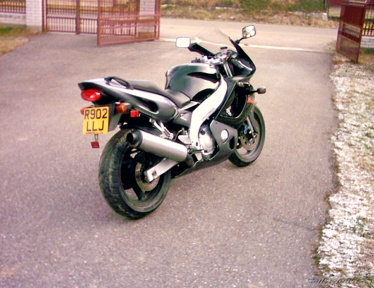 Photo 259666