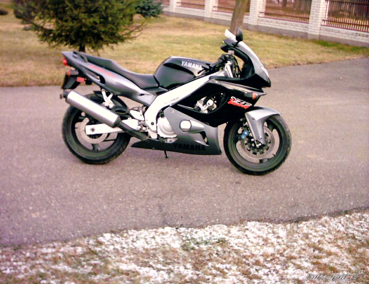 Photo 259668