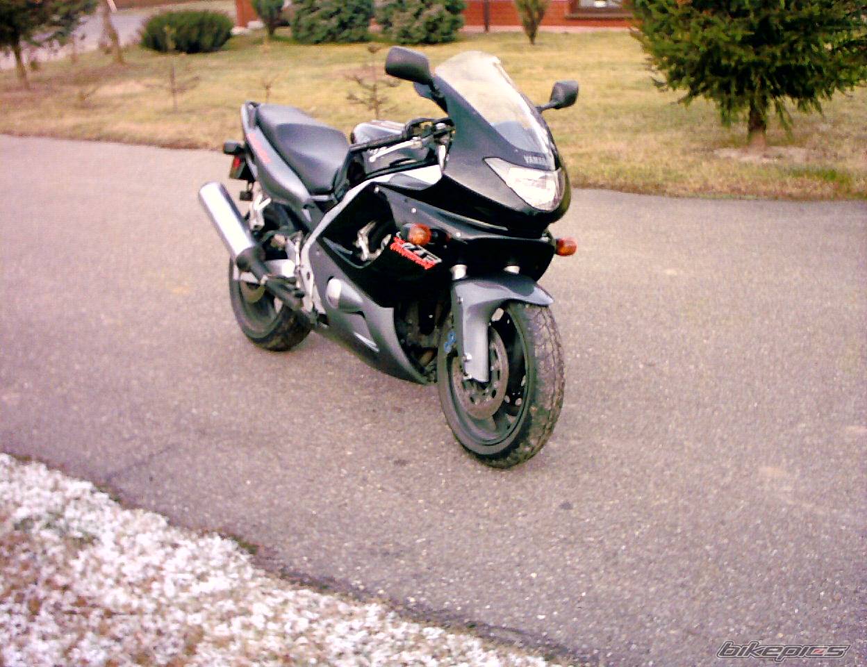 Photo 259669