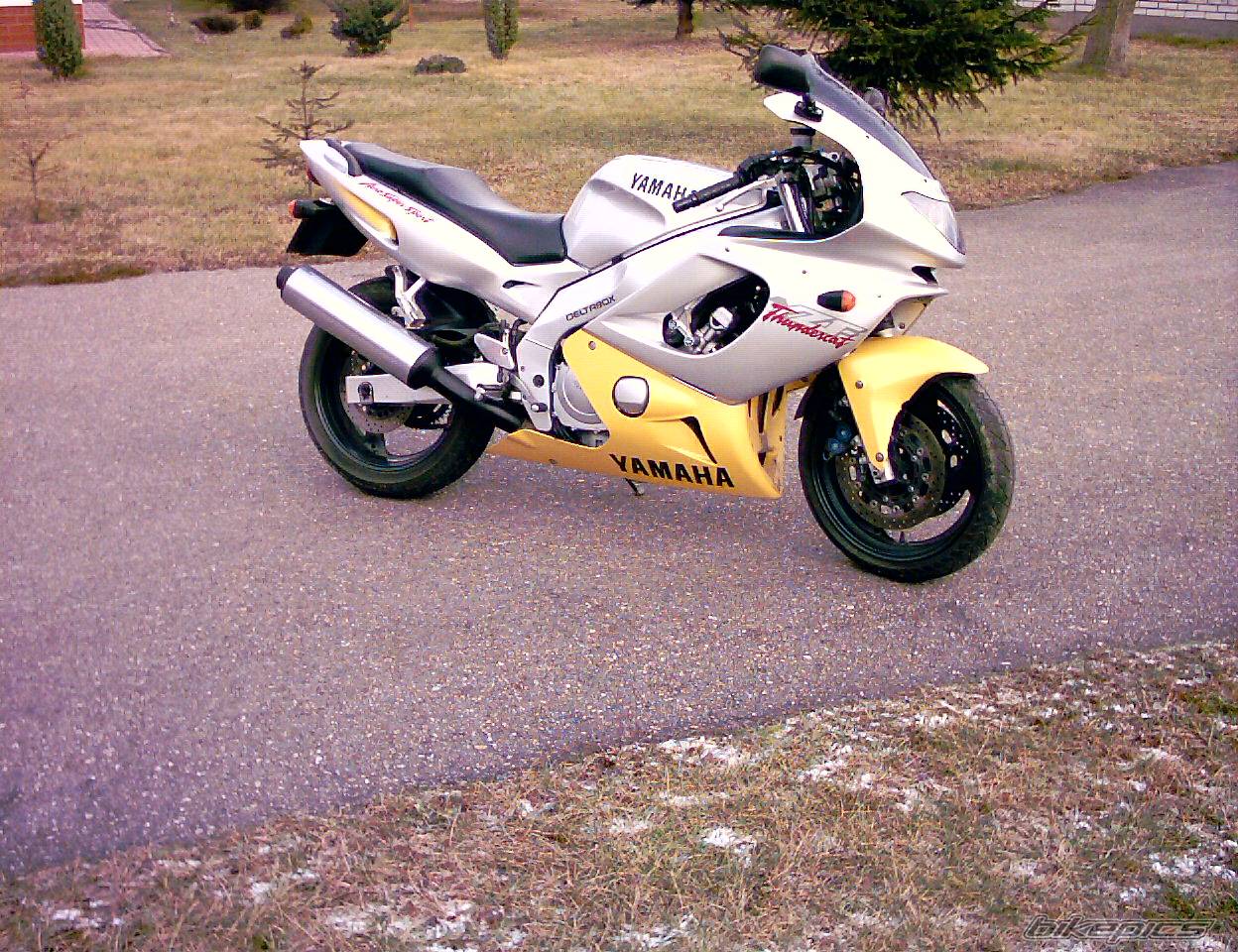 Photo 259672