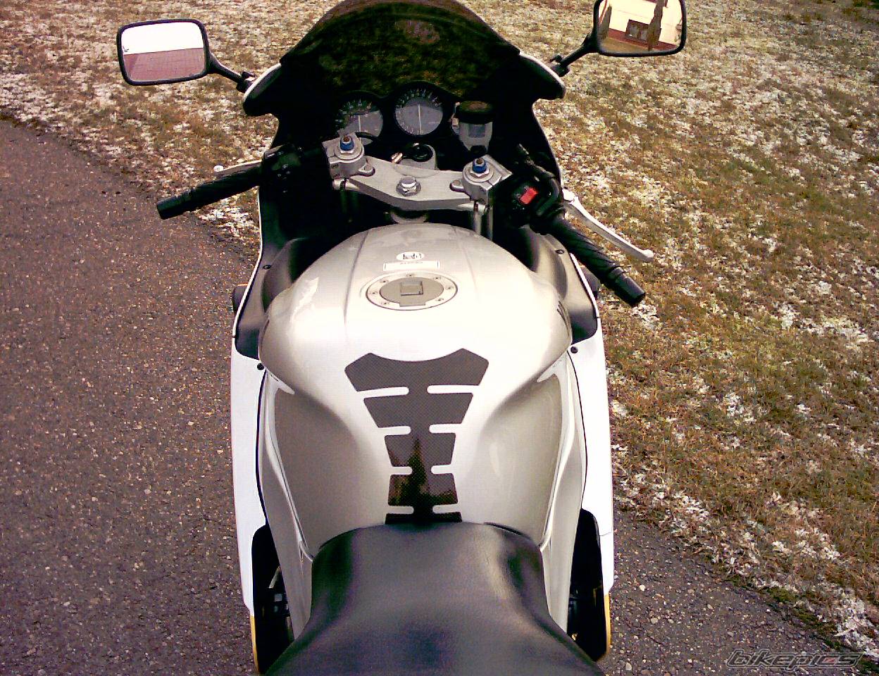 Photo 259678