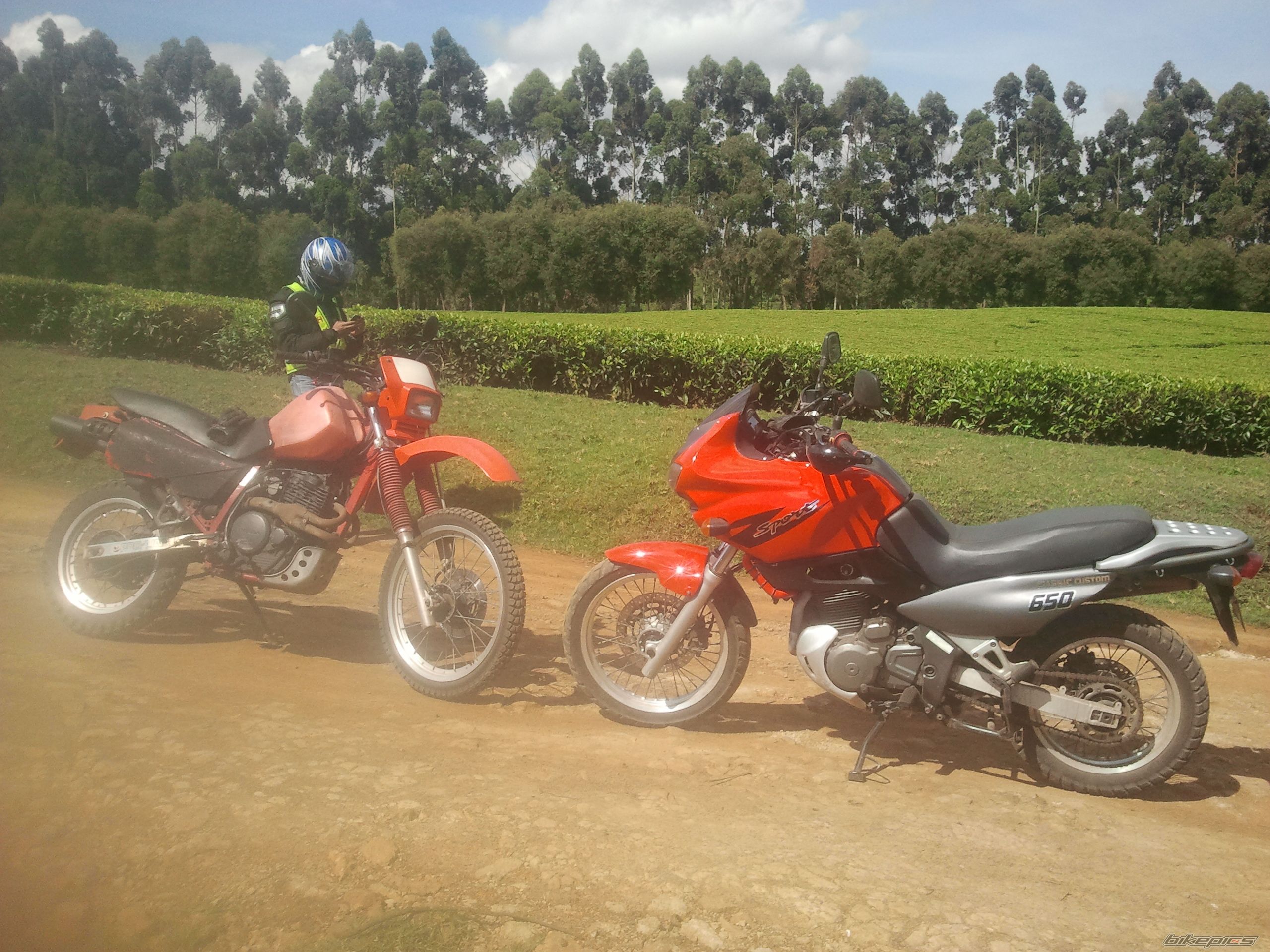 Photo 2596906