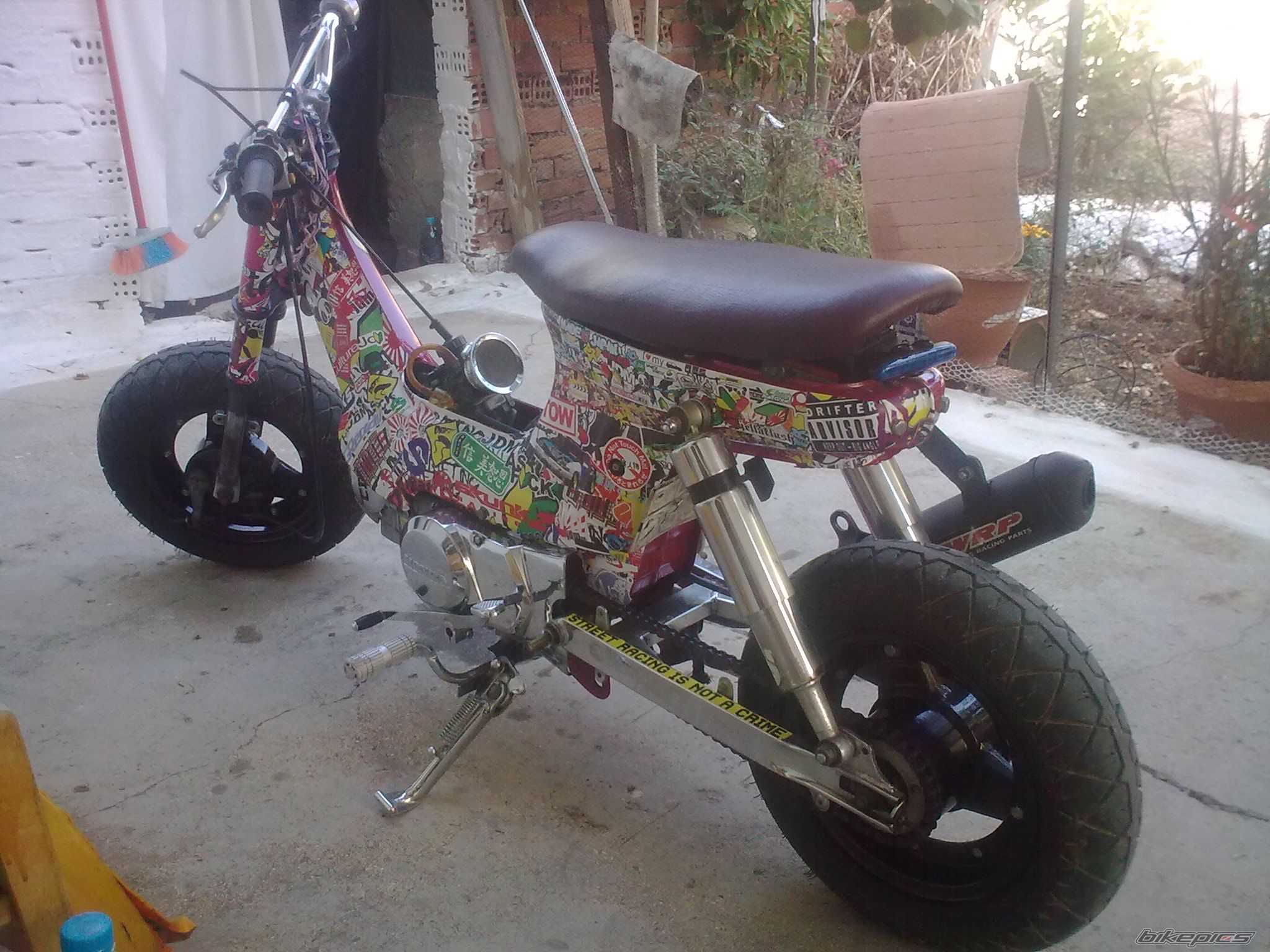 Photo 2596943