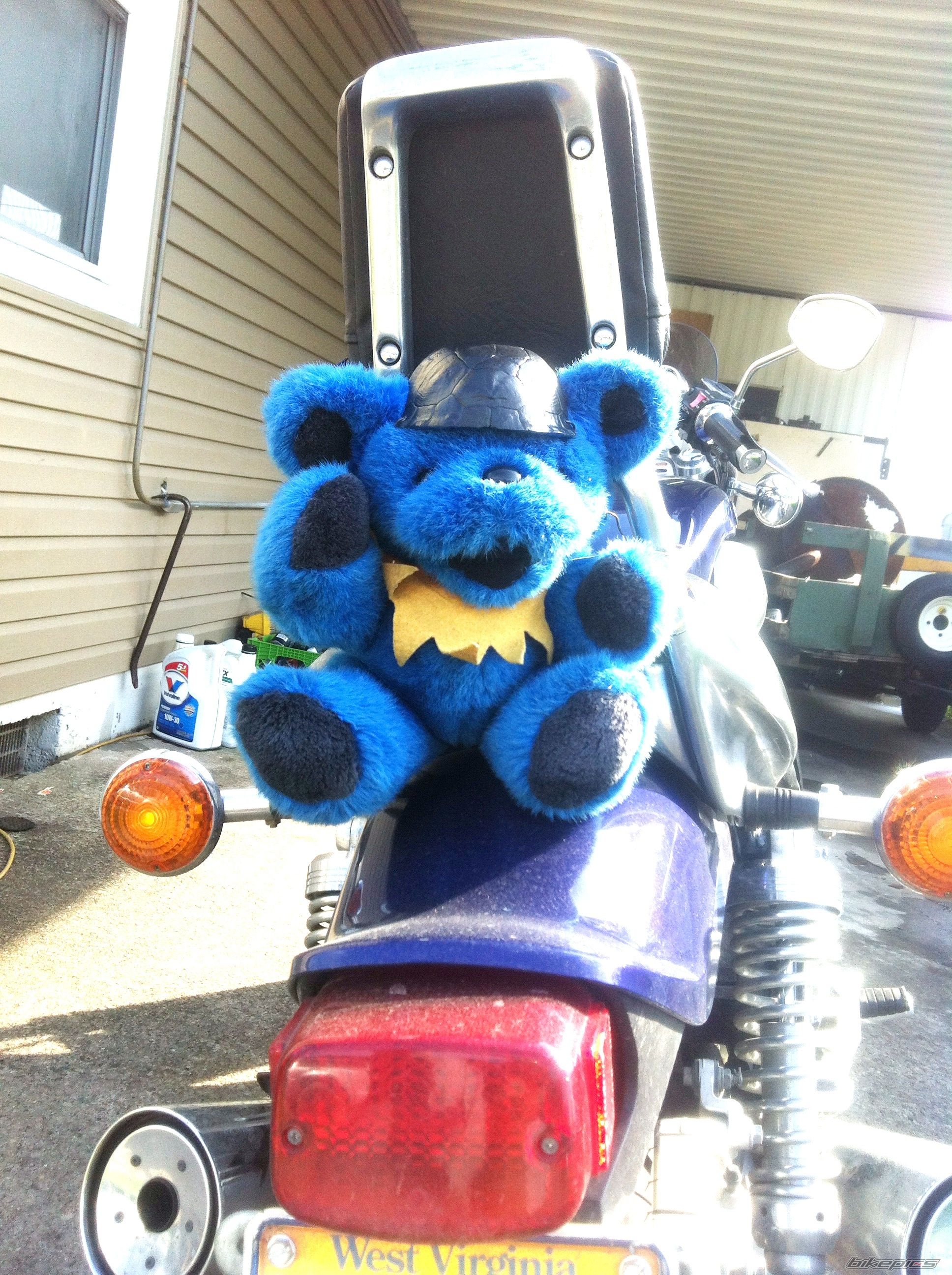 Photo 2596970