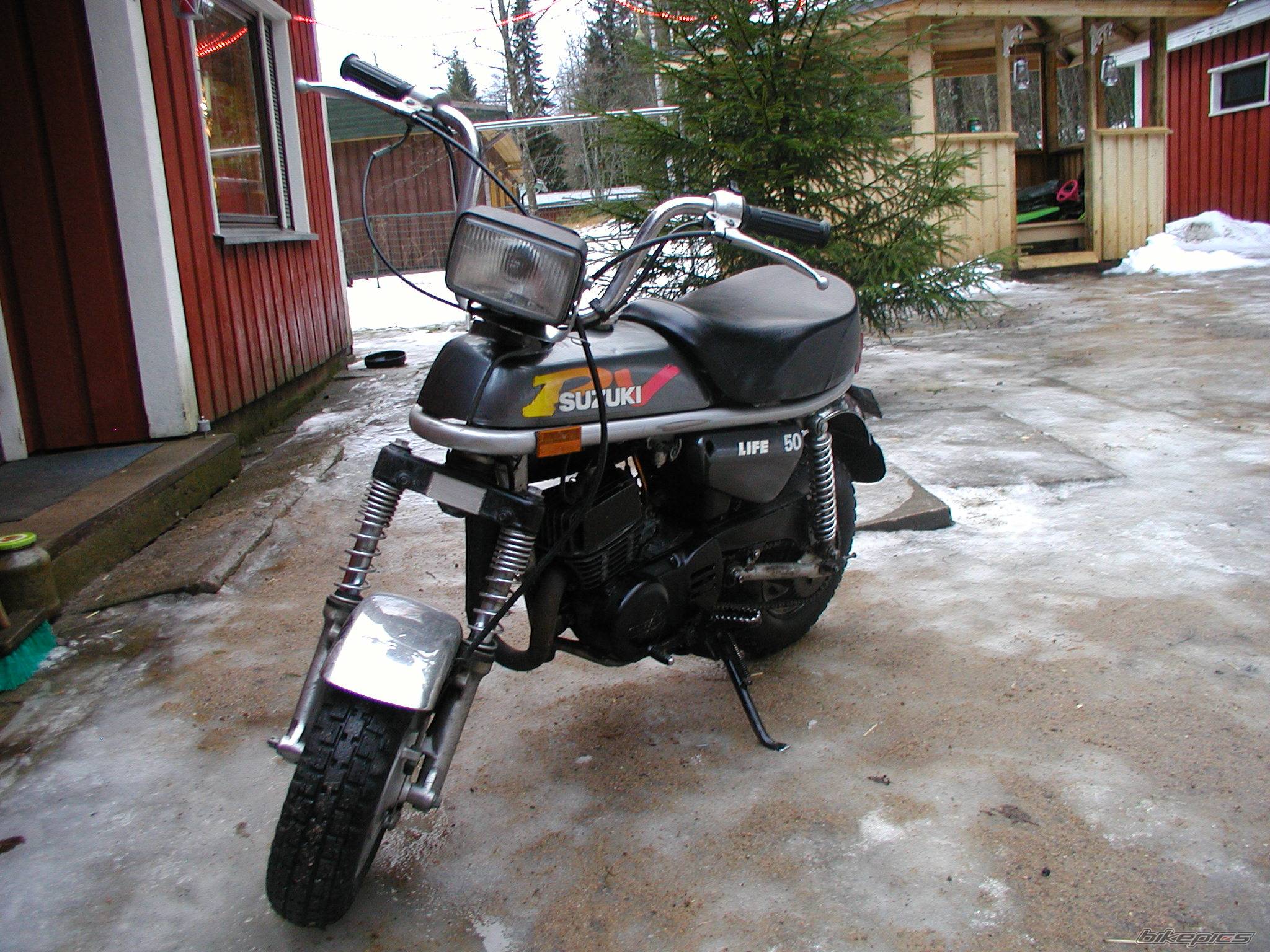 Photo 259702