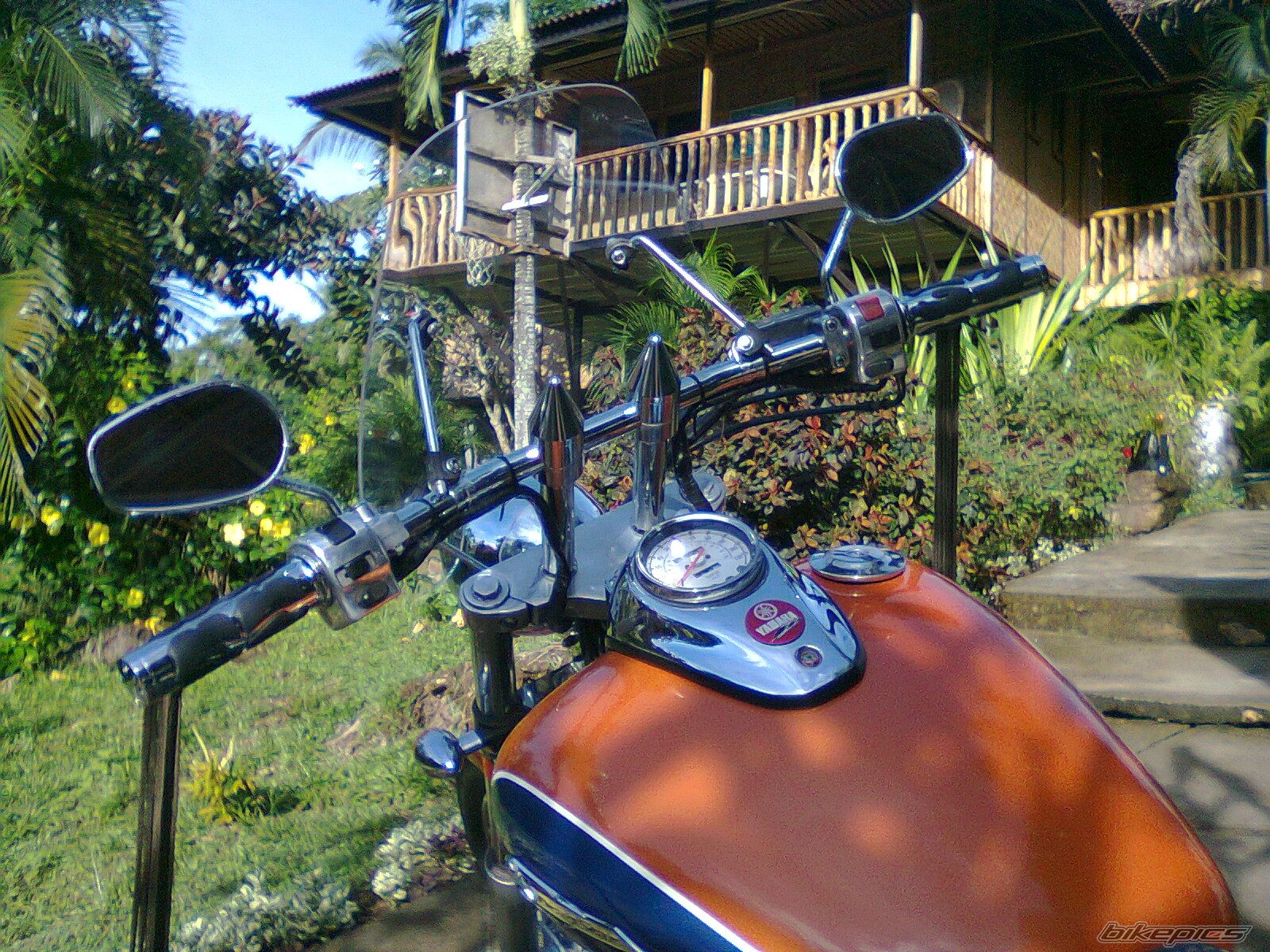 Photo 2597122