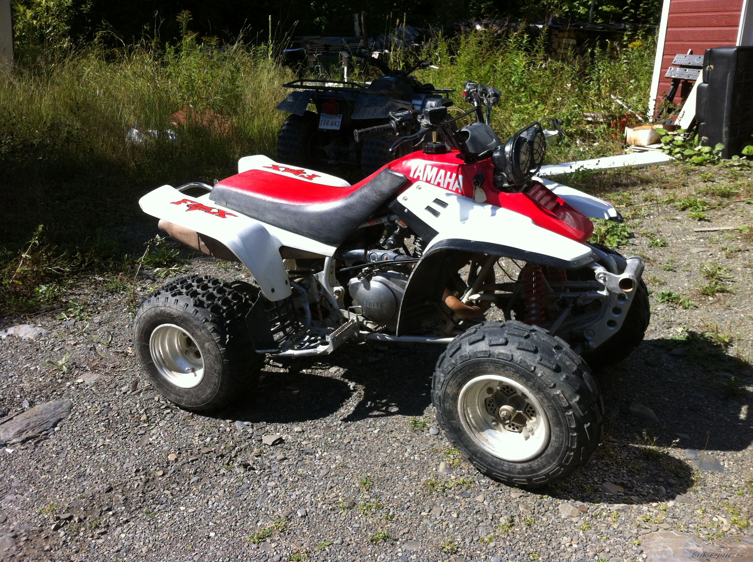 Photo 2597143