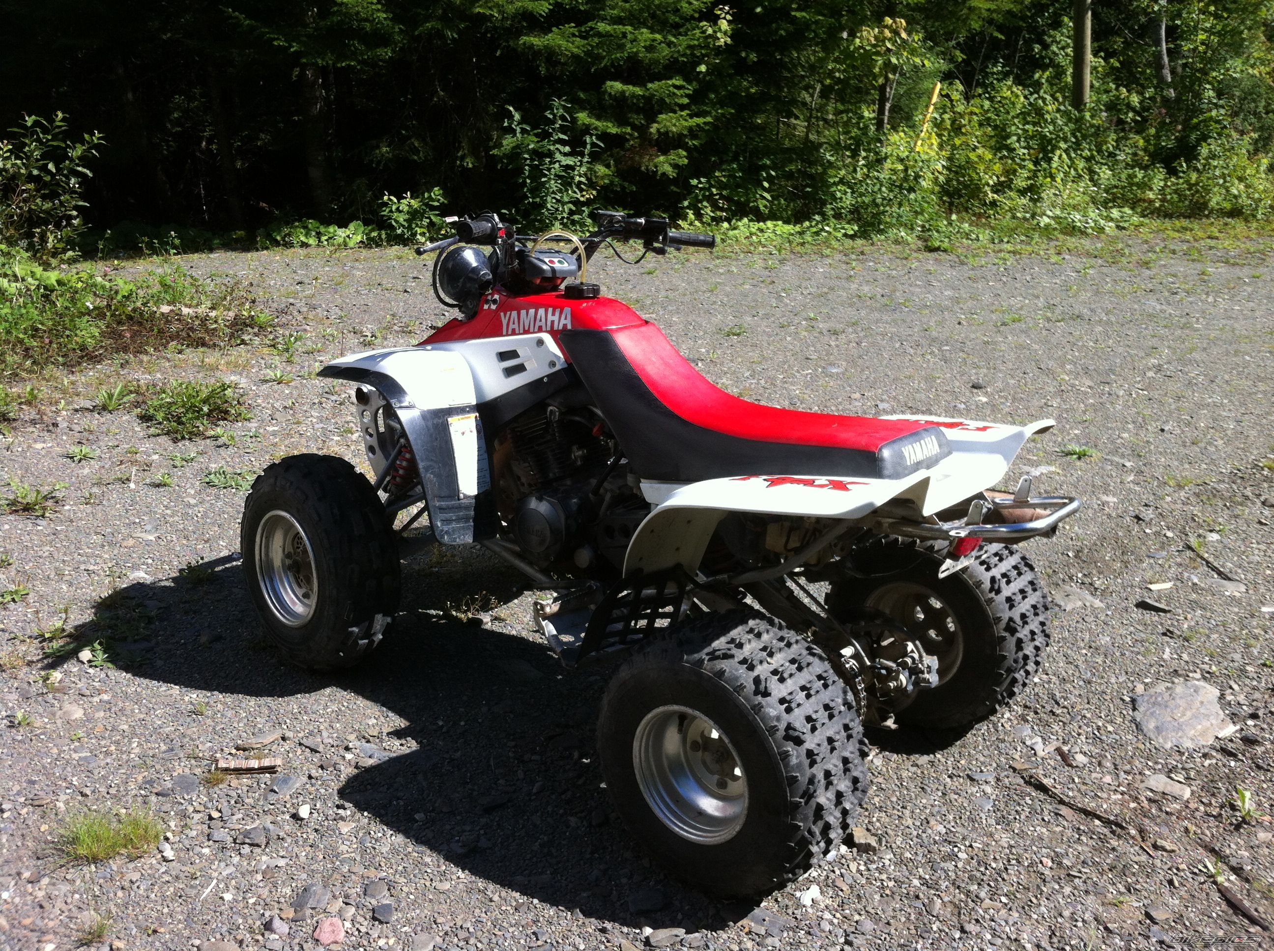 Photo 2597145