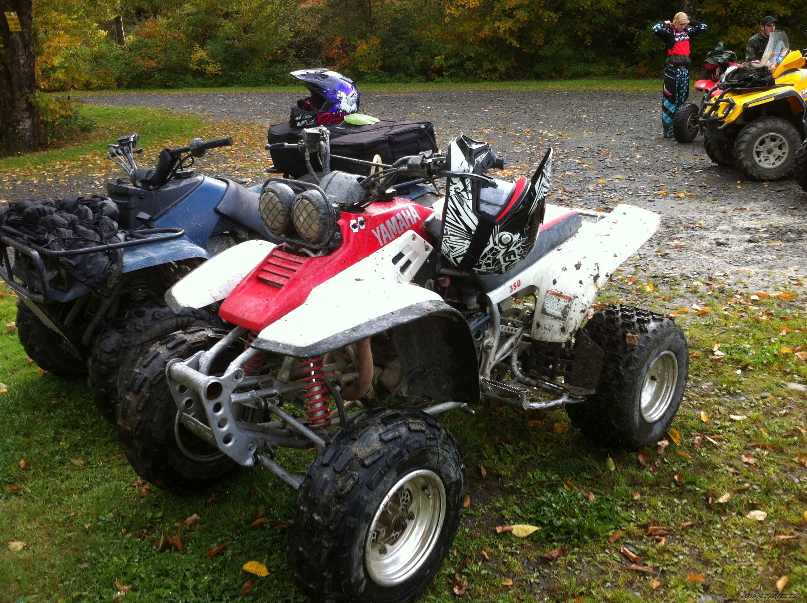 Photo 2597146