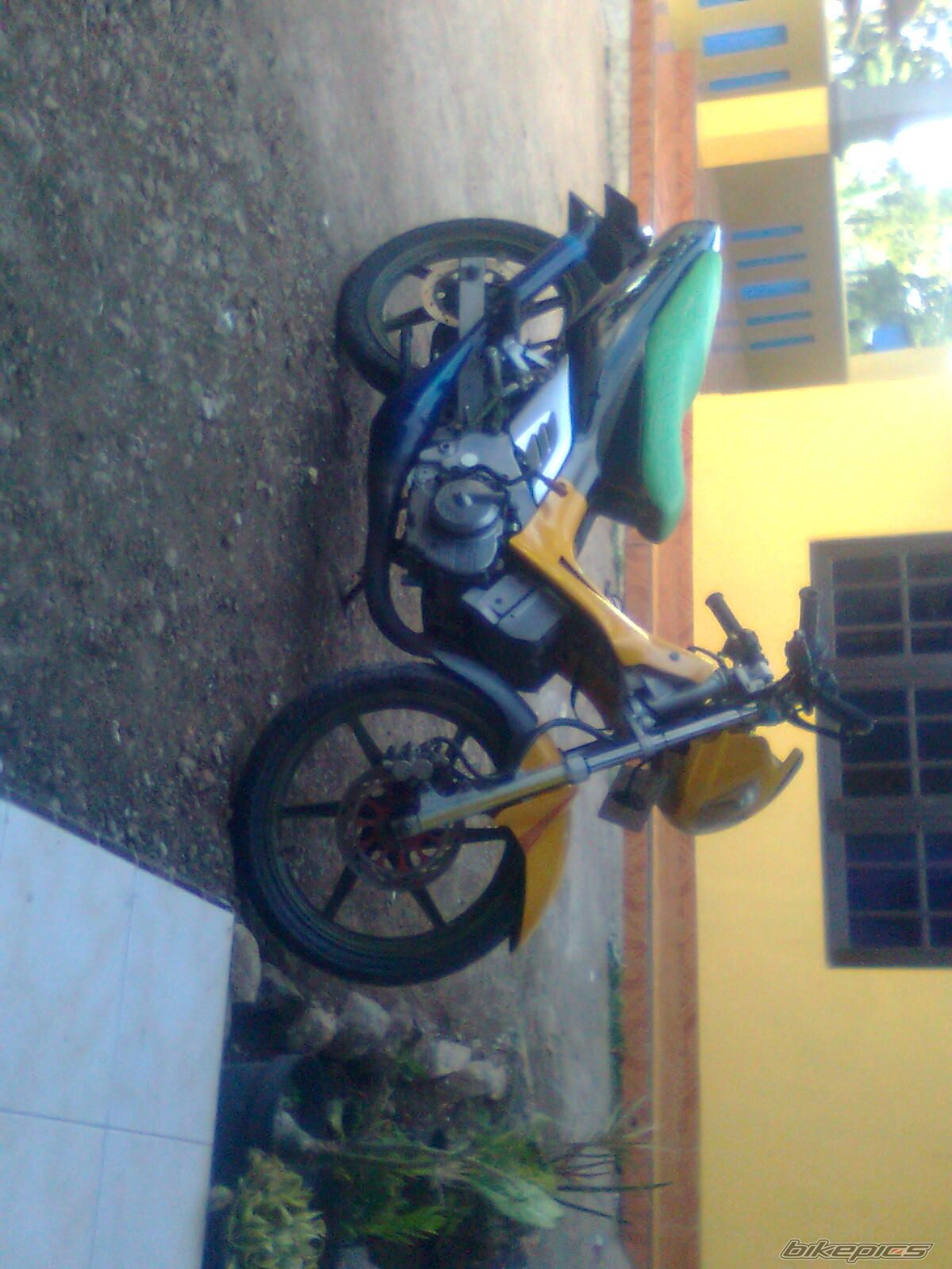 Photo 2597169