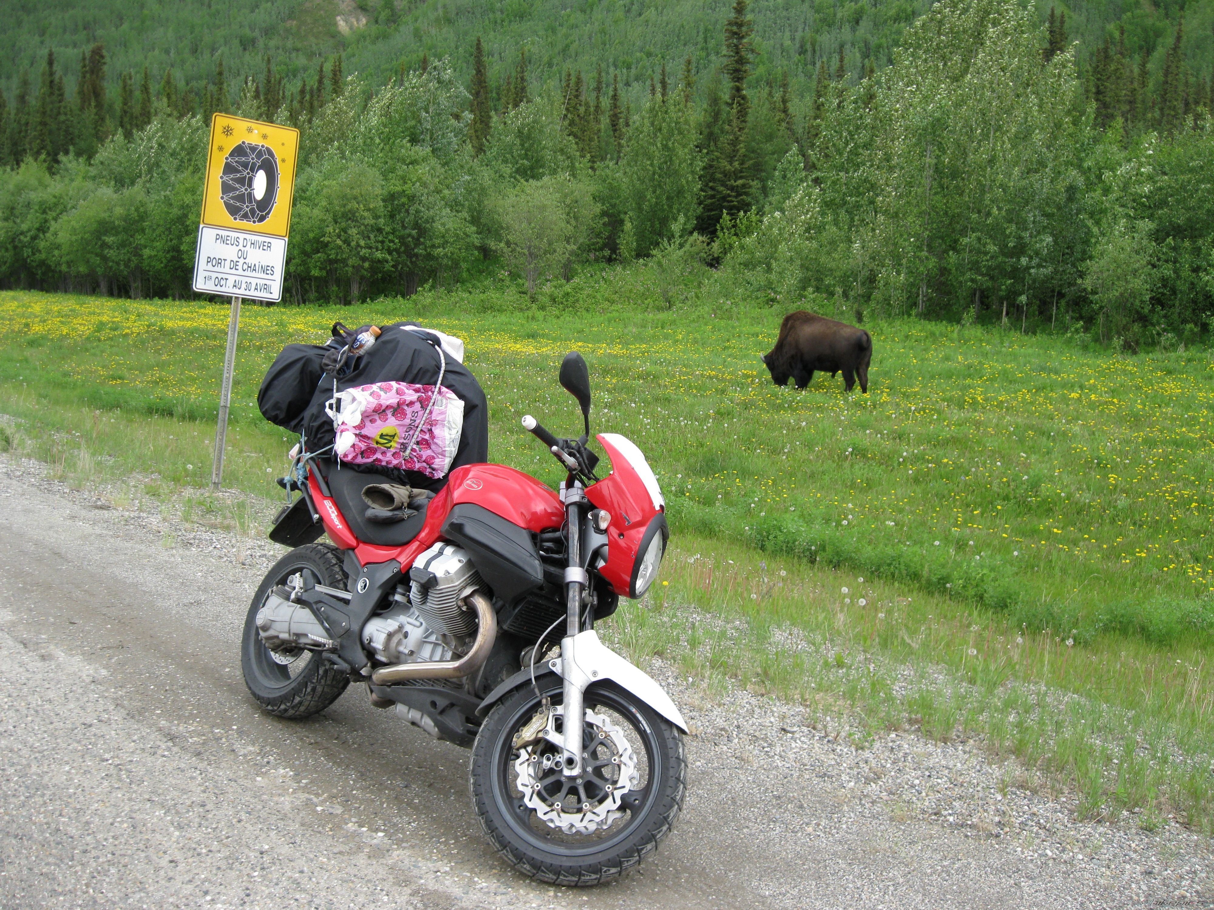 Photo 2597213