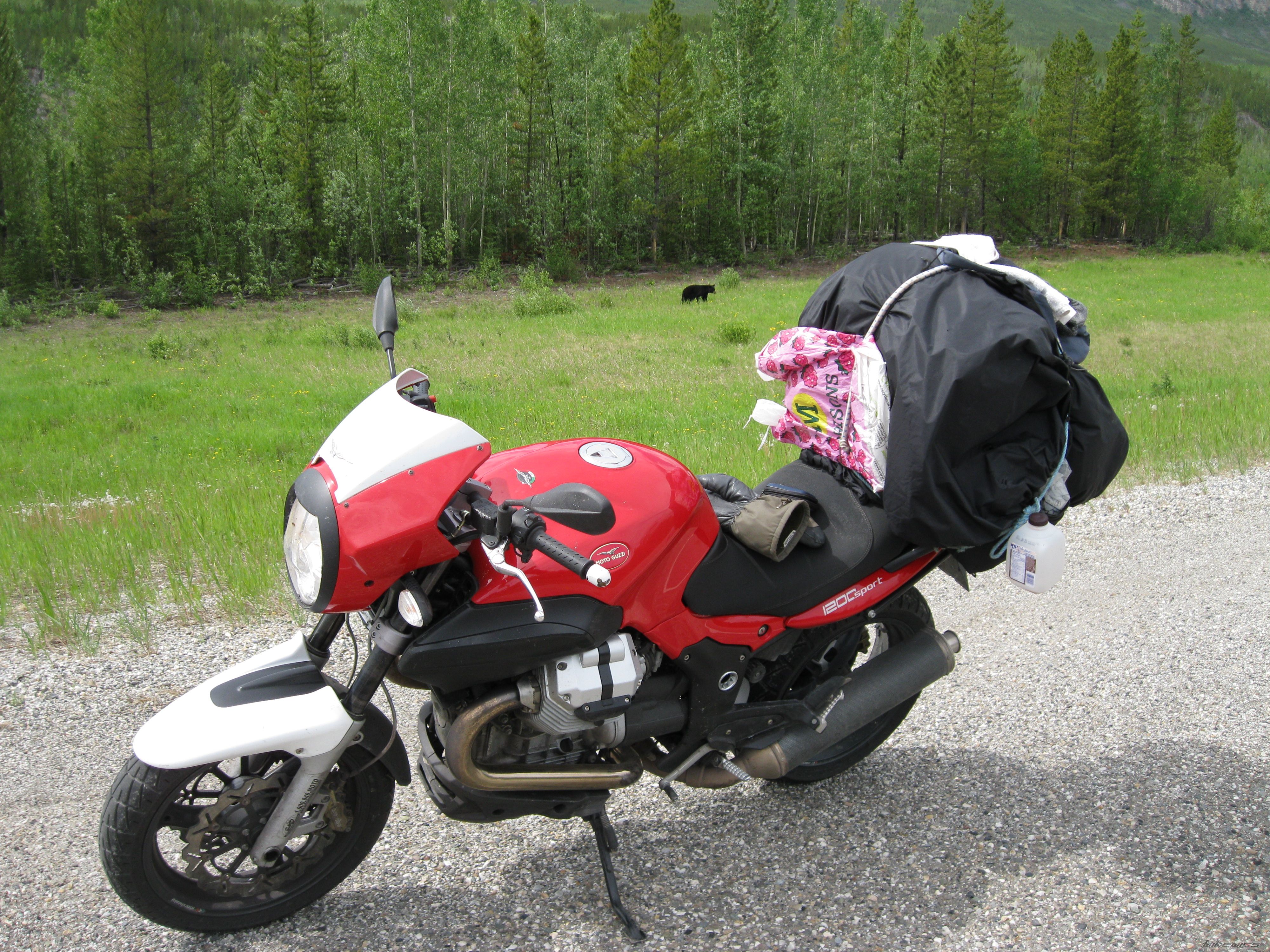 Photo 2597214