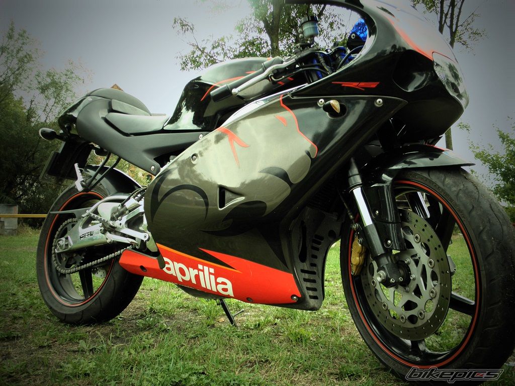 Photo 2597215