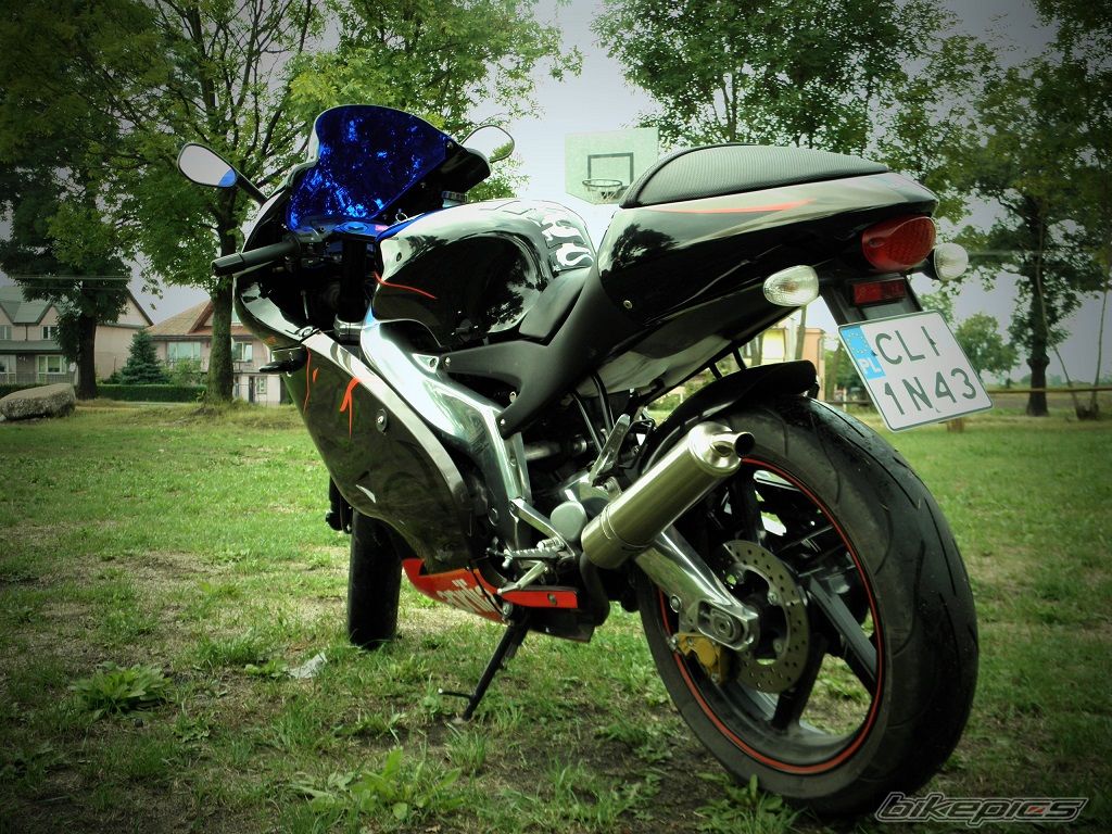Photo 2597216