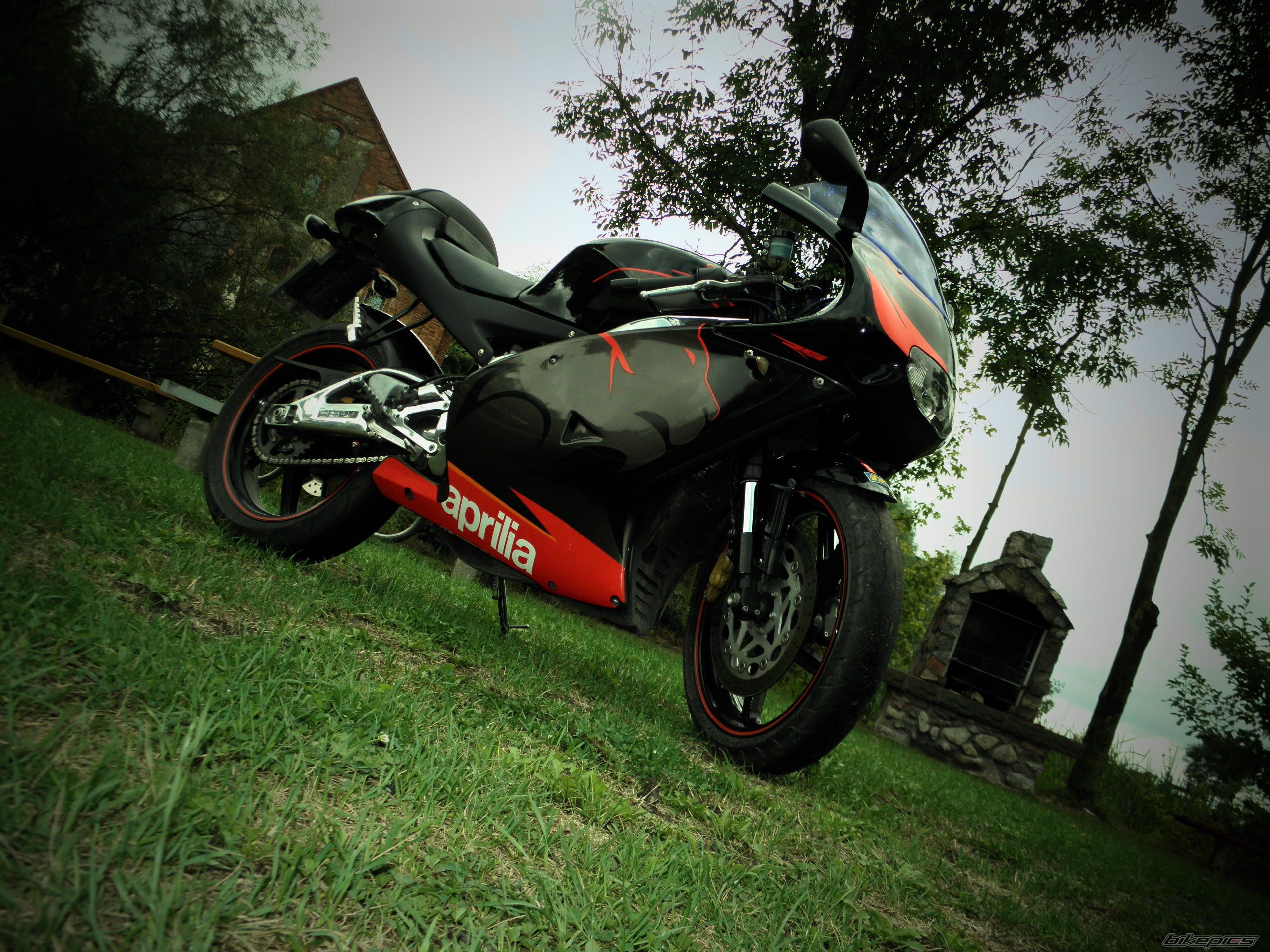Photo 2597218