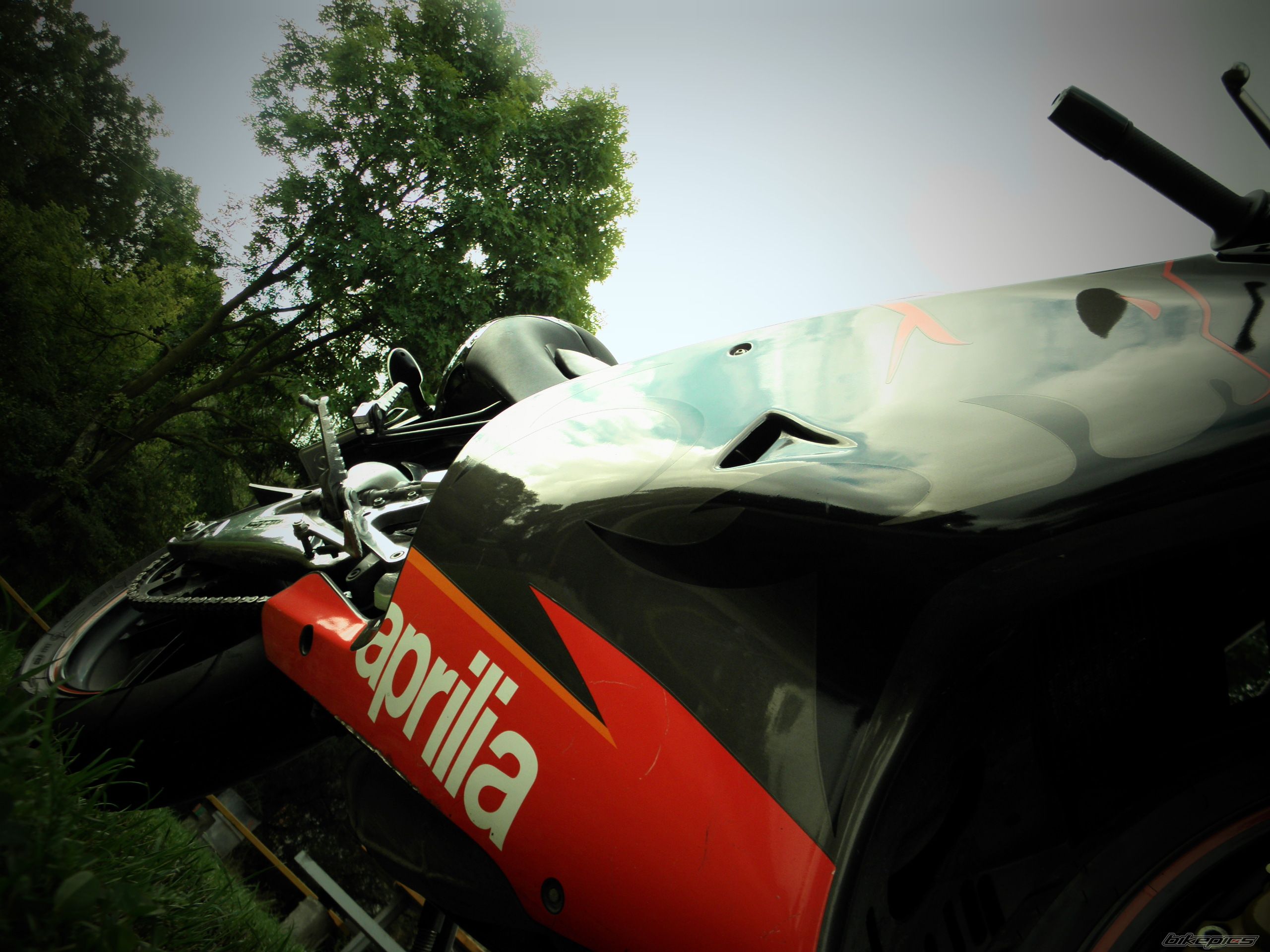 Photo 2597219
