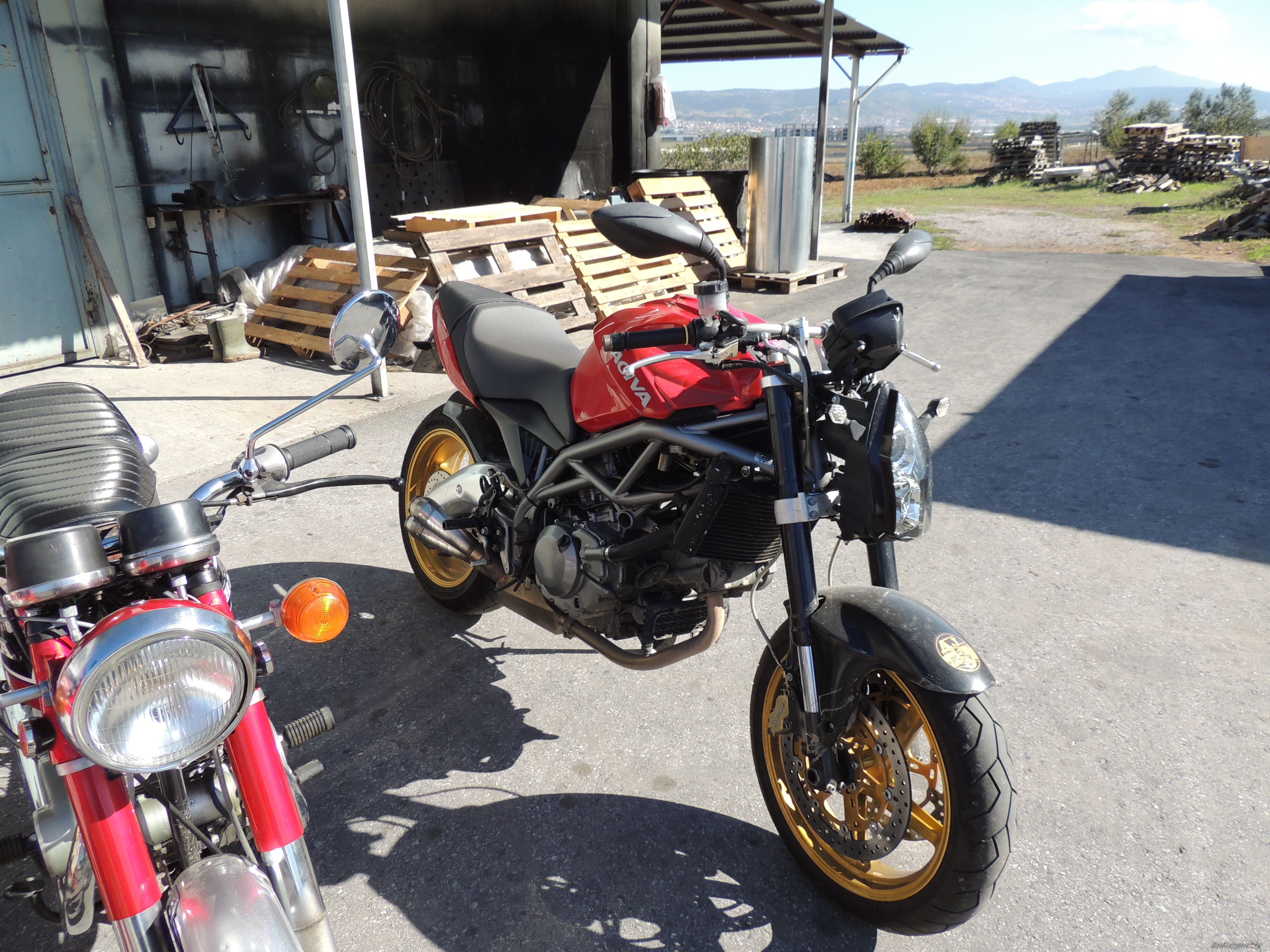 Photo 2597306