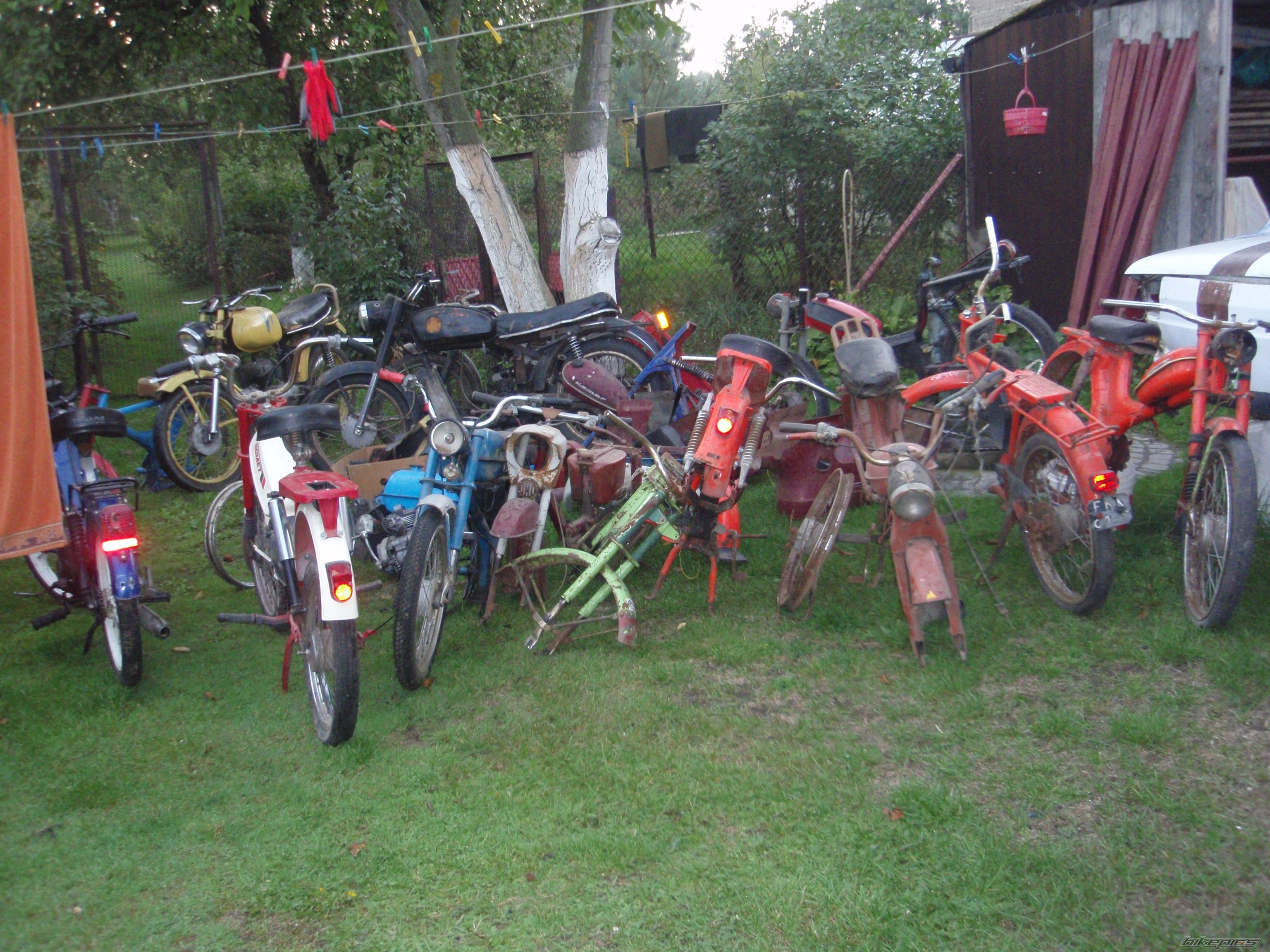 Photo 2597351