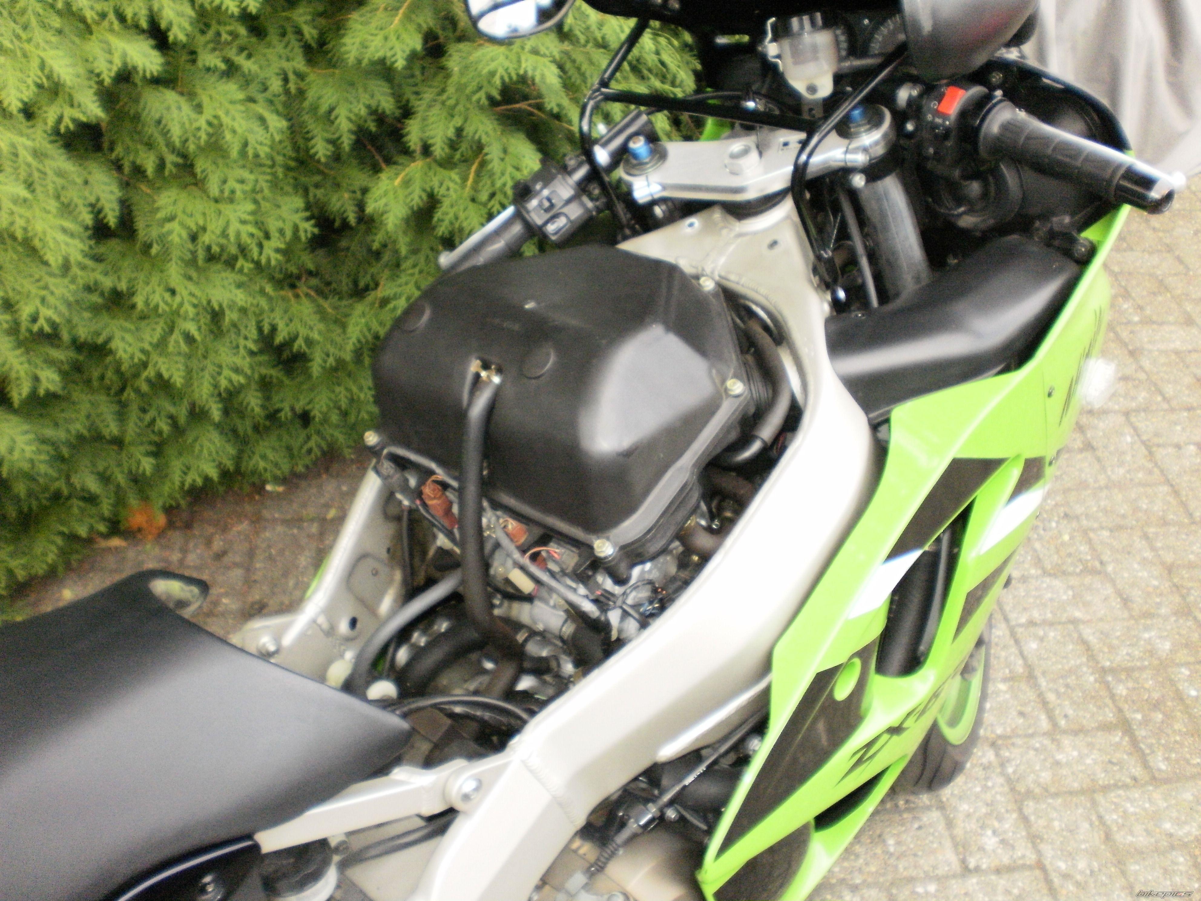 Photo 2597355