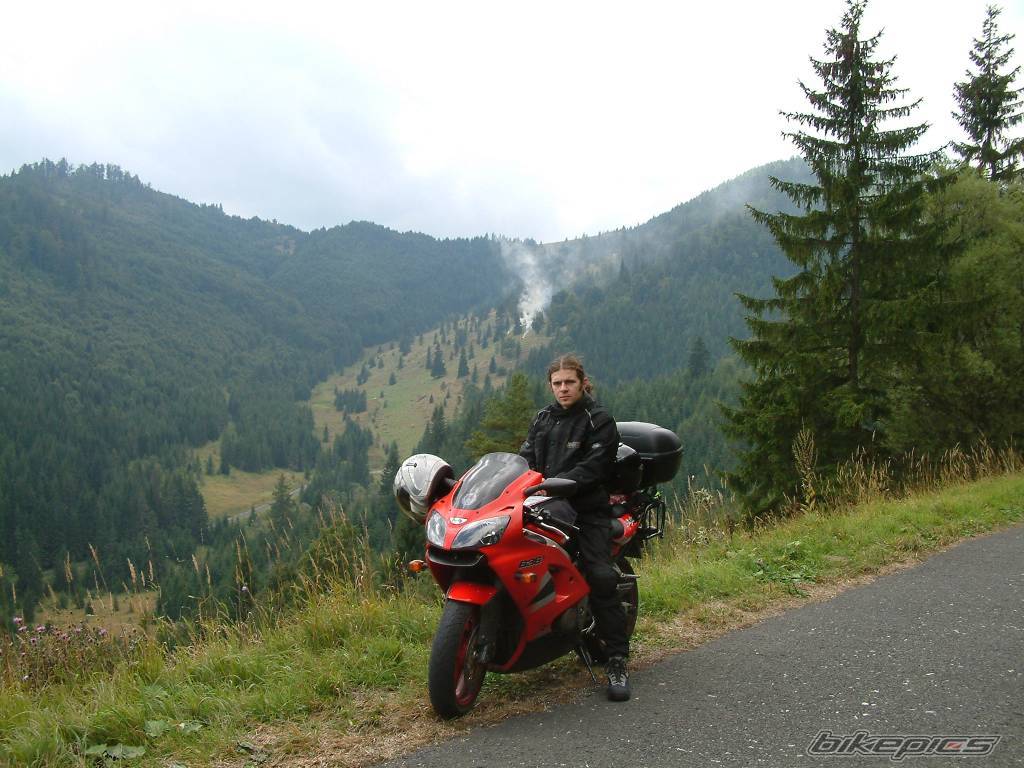 Photo 259736