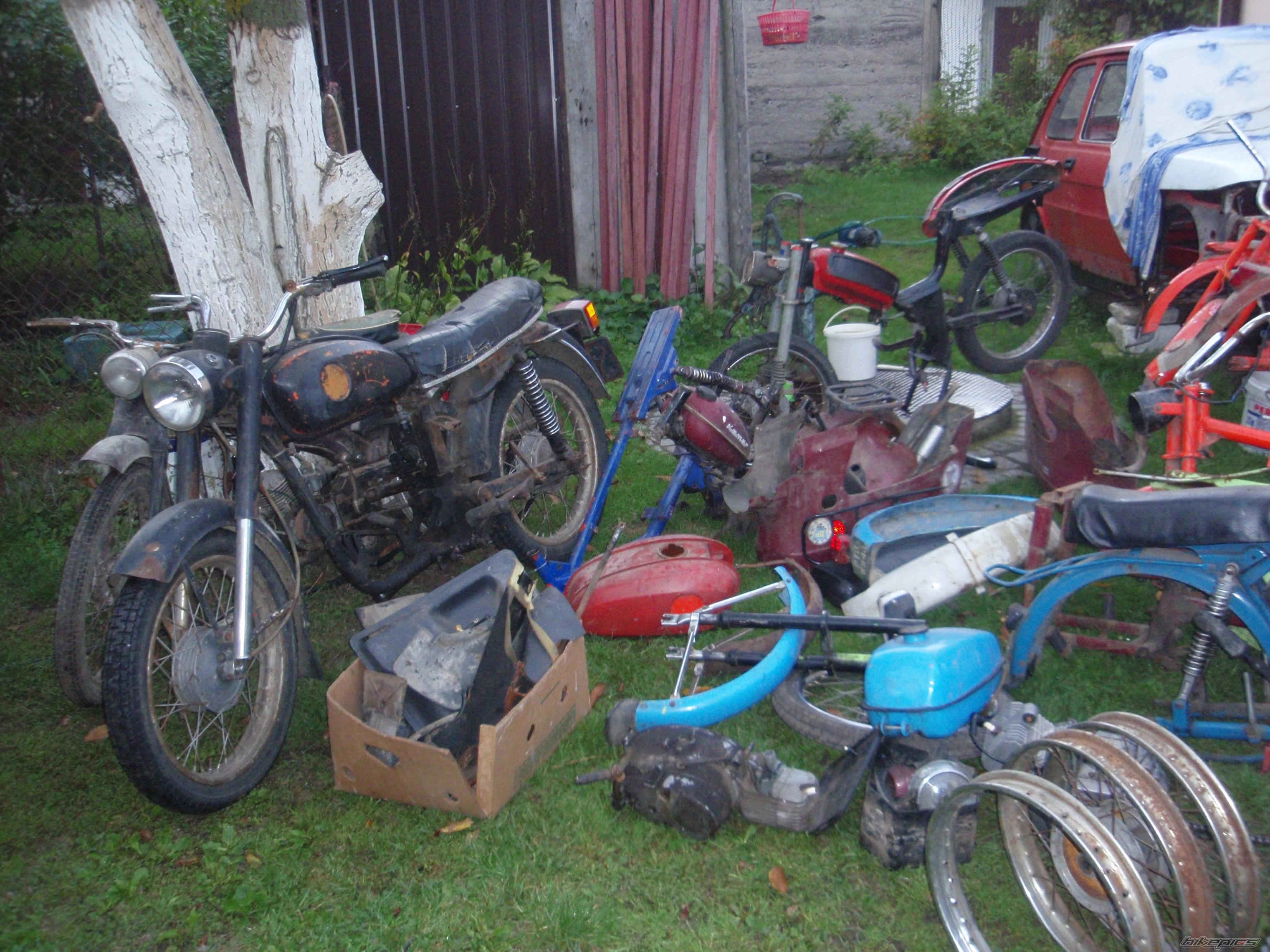 Photo 2597374