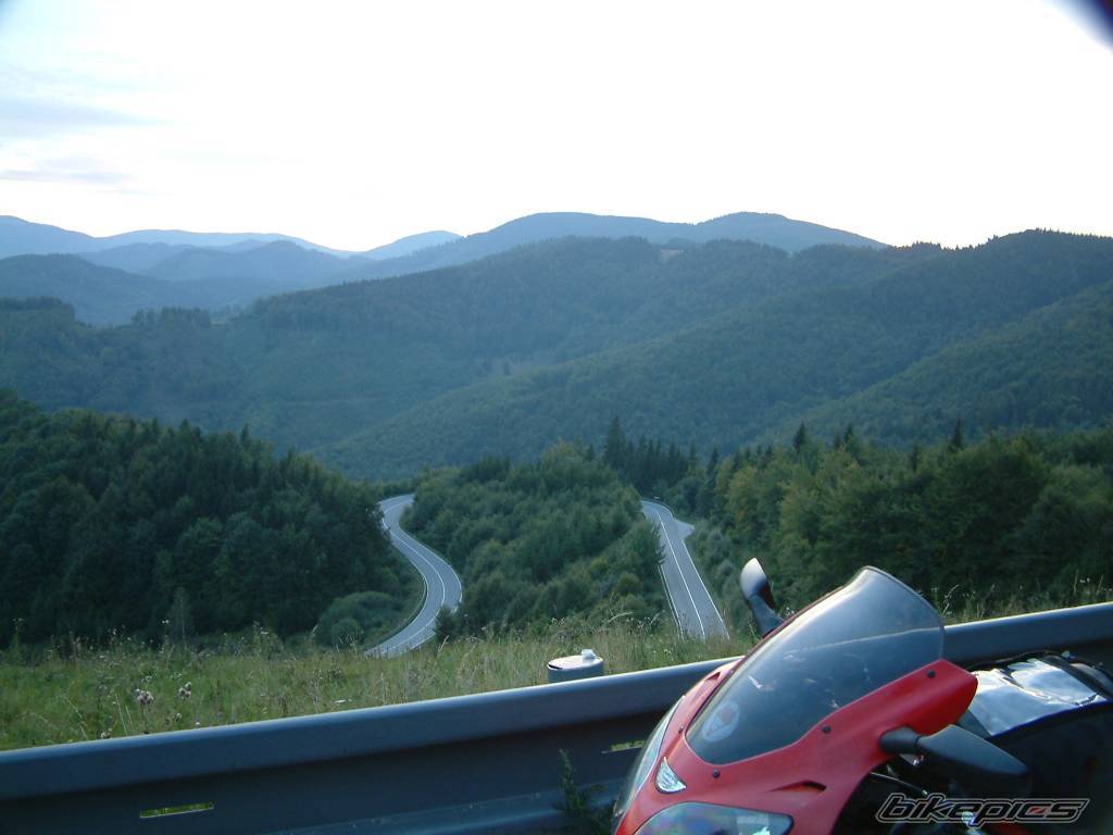 Photo 259738