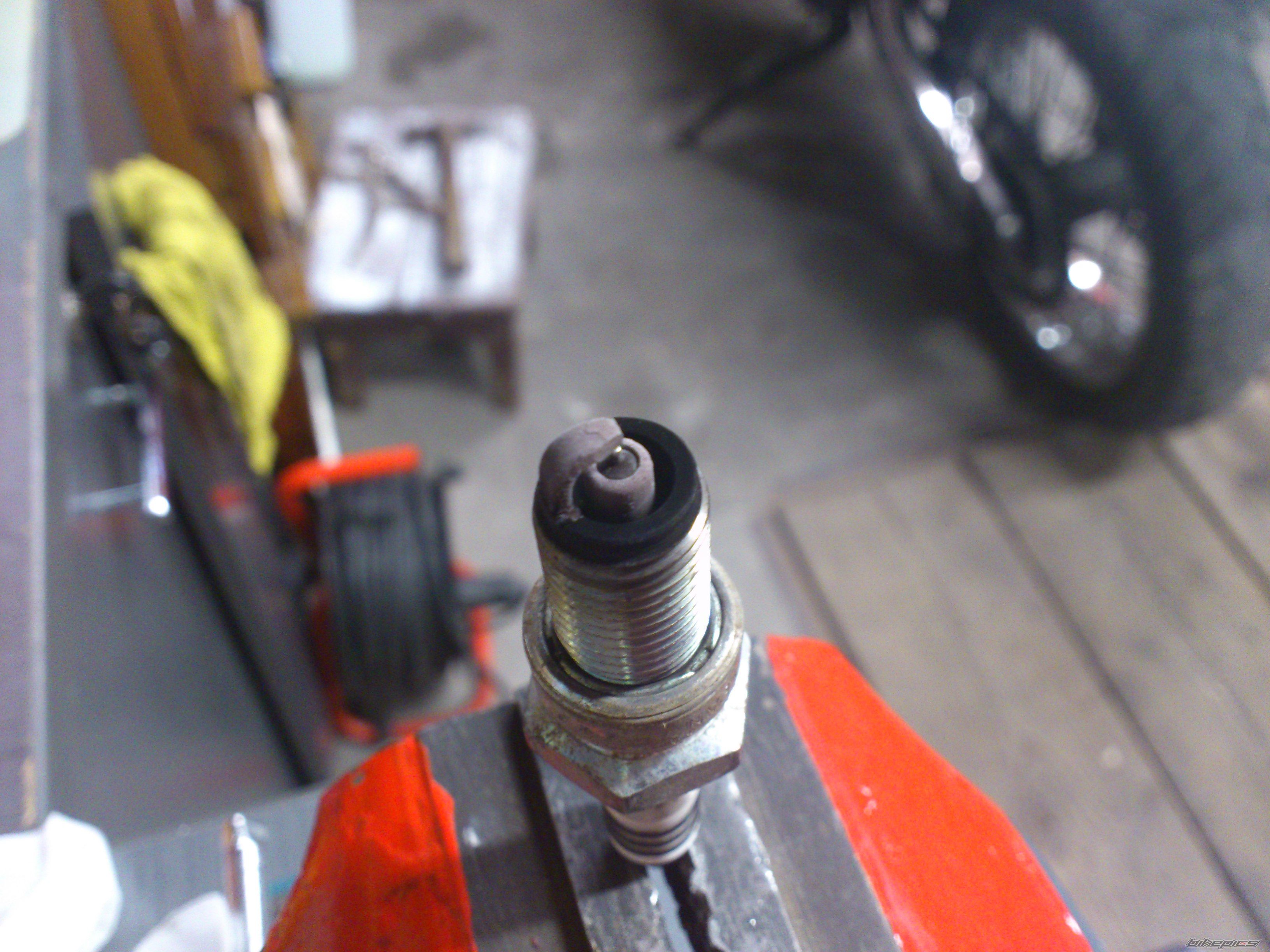 Photo 2597414