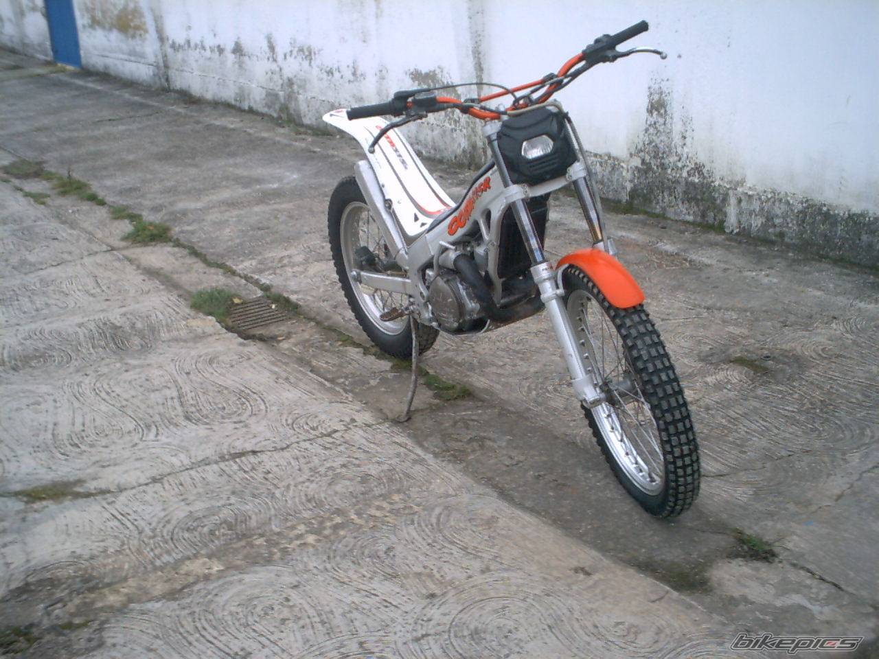 Photo 259743