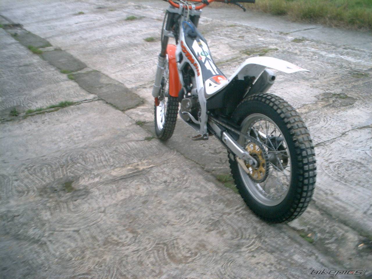 Photo 259744