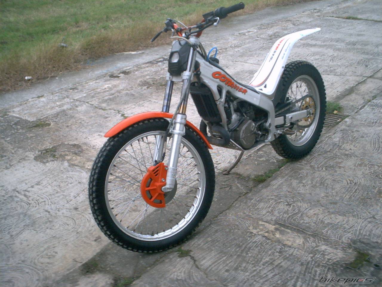 Photo 259745