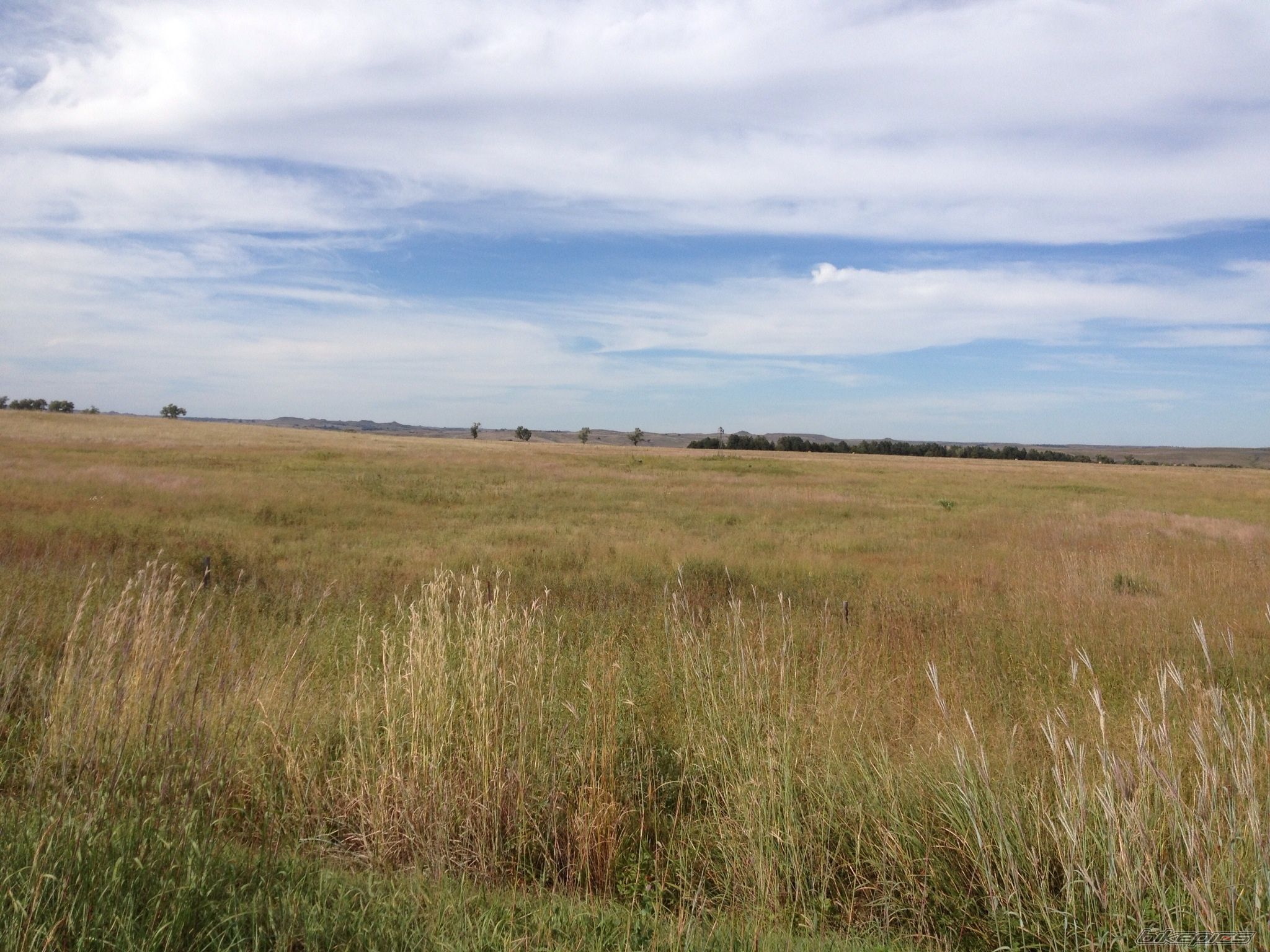 Photo 2597462