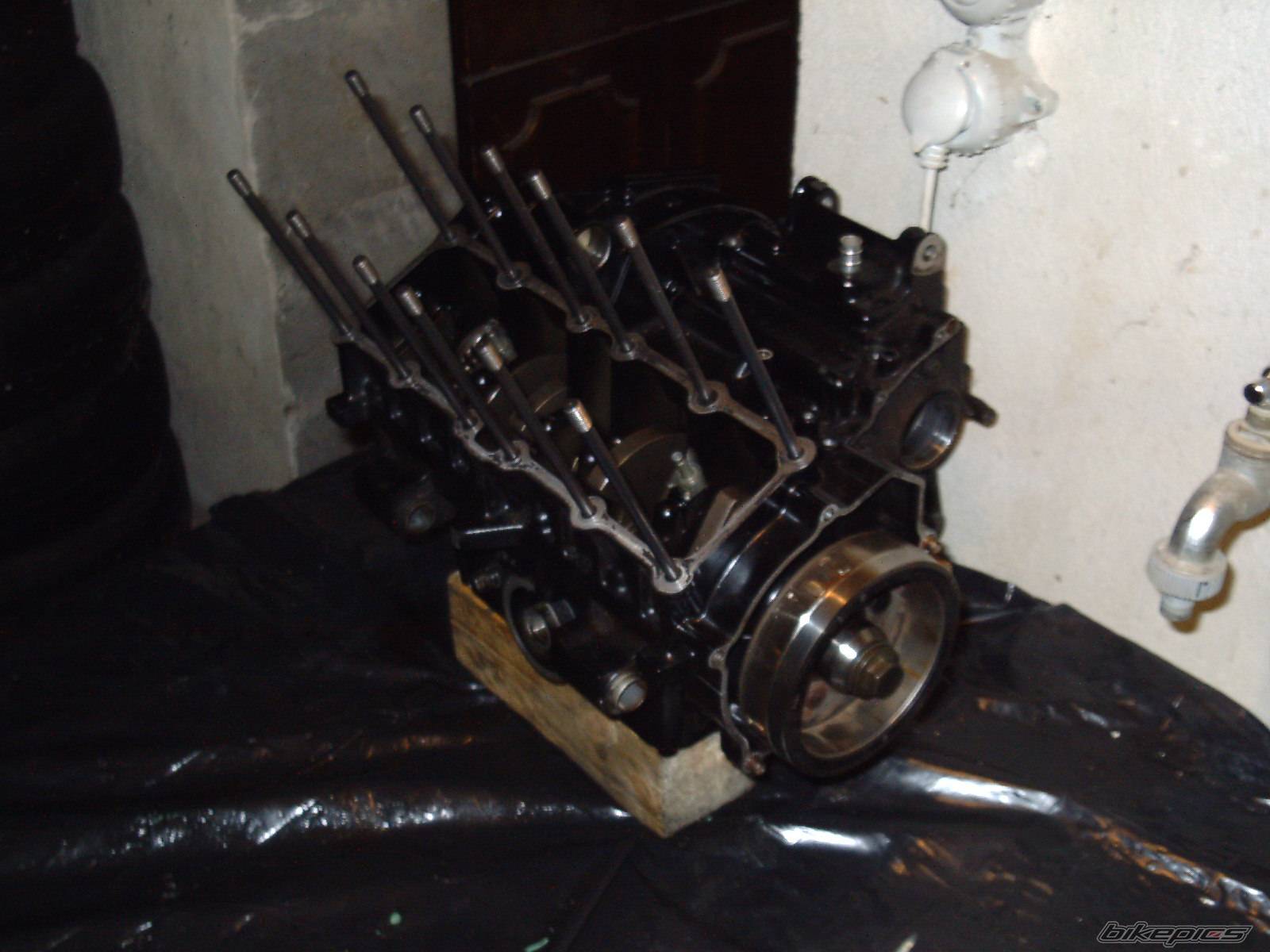 Photo 259752