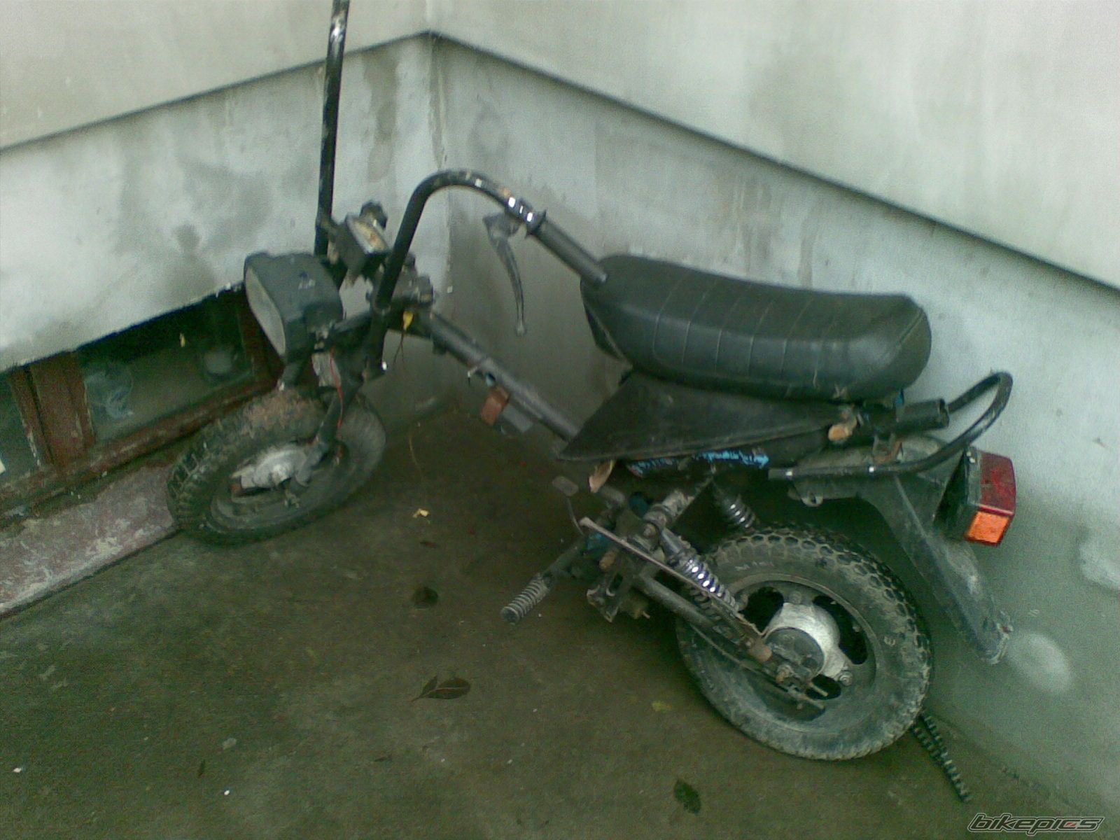 Photo 2597603