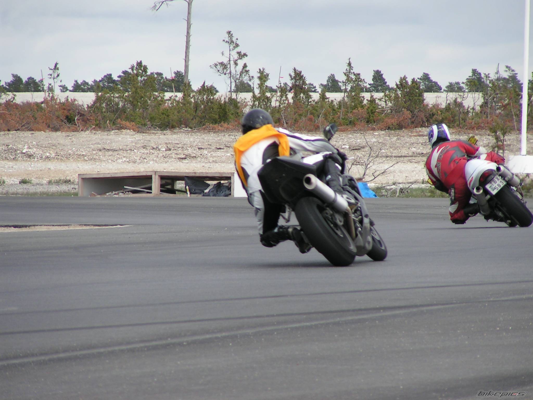 Photo 259763