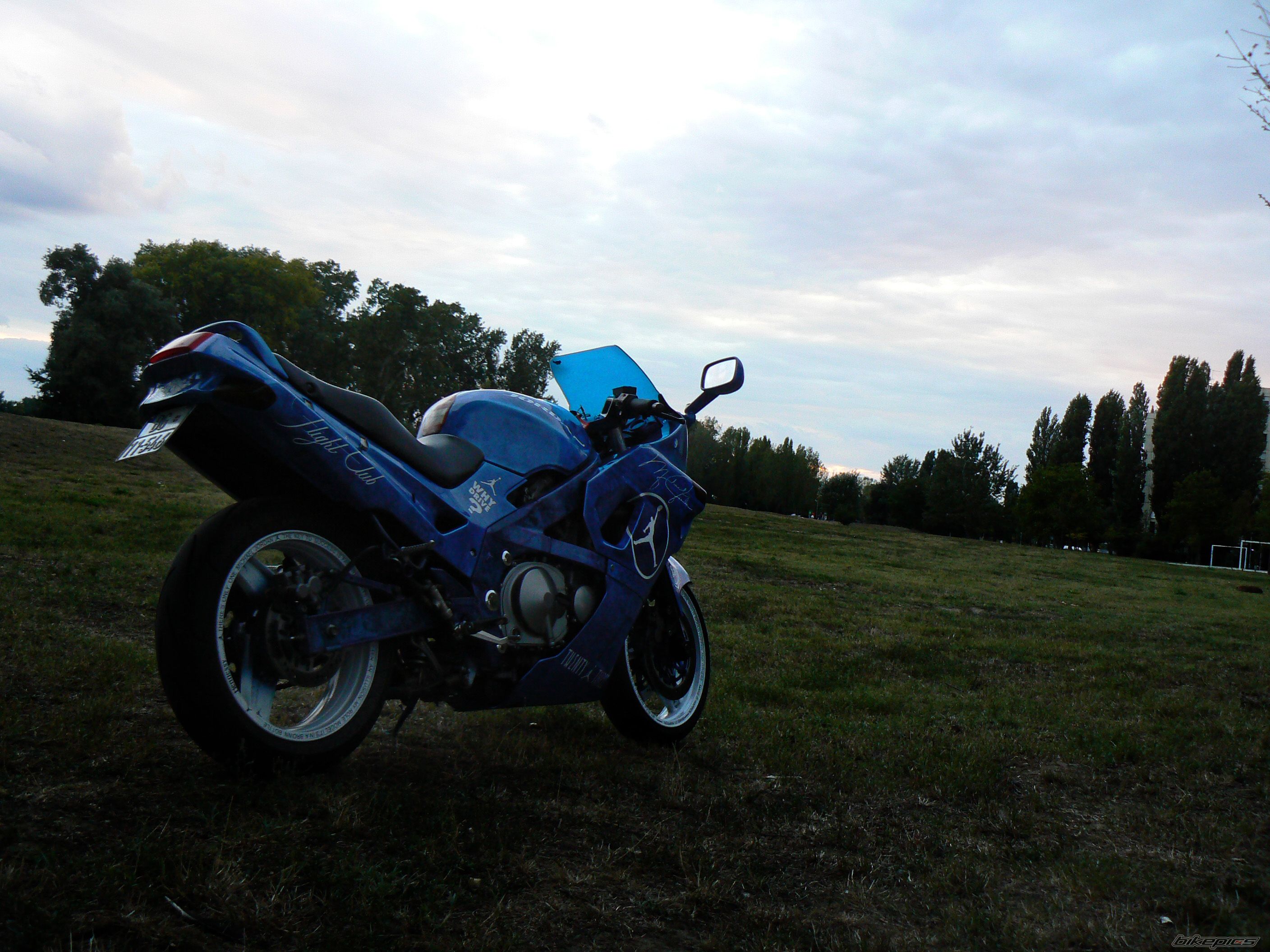Photo 2597634