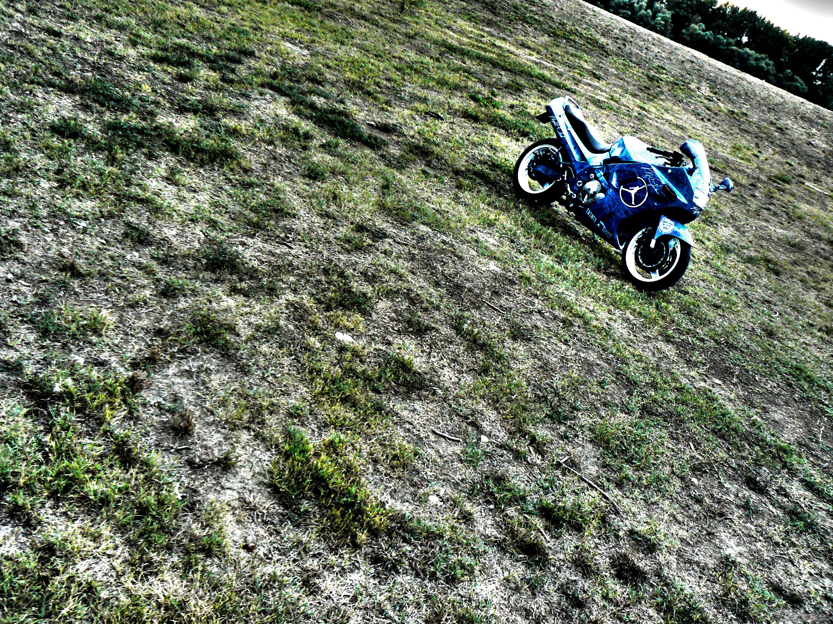 Photo 2597643